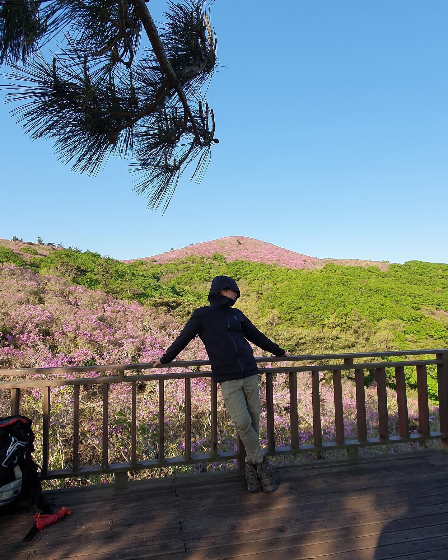 연휴에 다녀온 일림산 #꽃뷰 #바다뷰 #7성급뷰 #일림산철쭉🌺 #백패킹 #backpacker