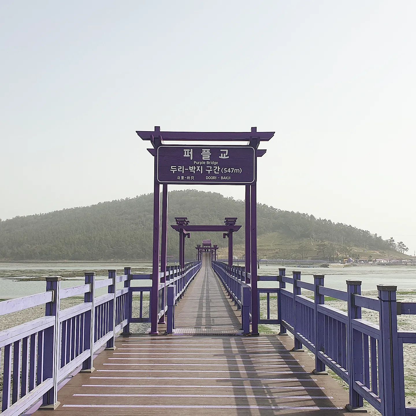아직은 #보라색 #맥문동 은 볼 수 없지만
퍼플색 페인트가 알려주는 #퍼플대교
상호도 건물색상도 #바이올렛

오늘은 바람이 많이 분다고
#입장료공짜 ...라네!!

#신안안좌도 #보라색다리