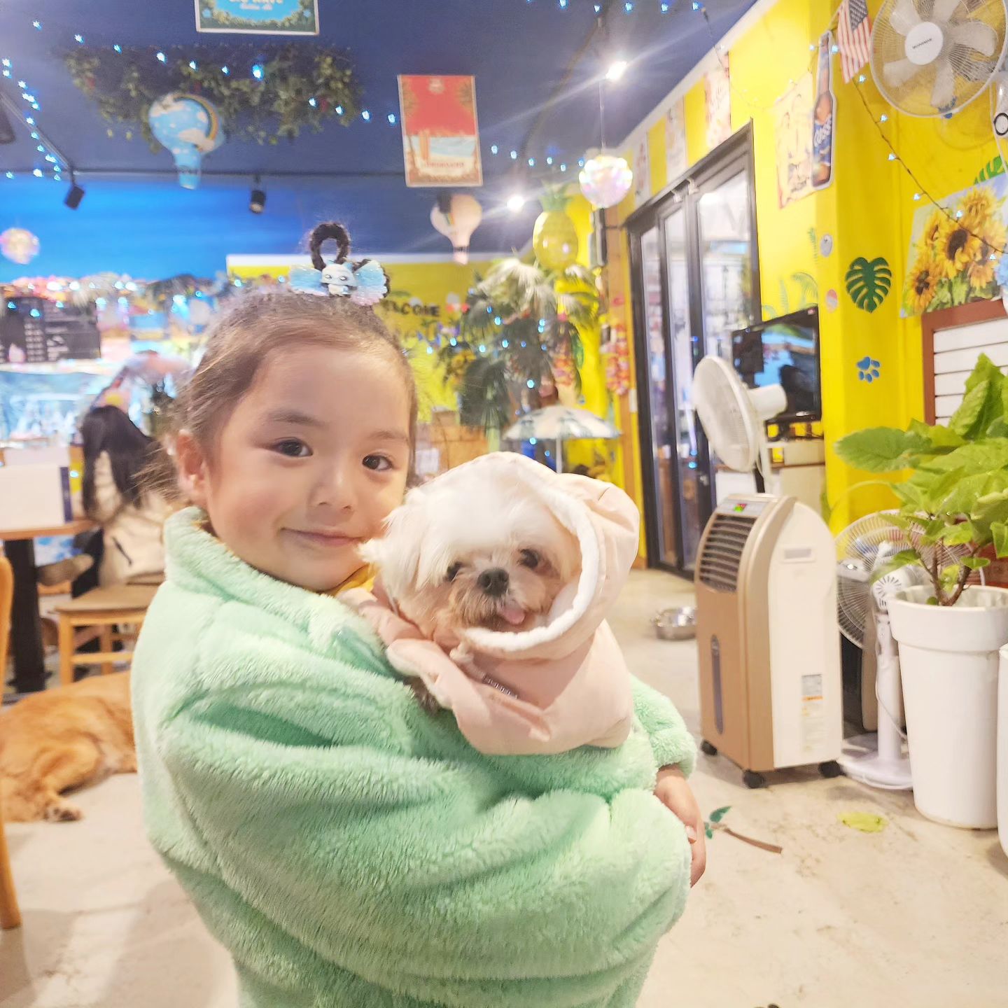 #누리일기🐶 #임시보호중입니다 

D-47일차 누리 보호중!
어른 생파를ㅋㅋ 강아지 많은
와이키키에서 하는 지인 언니로 인해
누리도 사랑이도 실컨 놀고 왔어요

누나야 품에서 캥거루 마냥 얌전히
있어주는 누리~♥️

누리는 어린아이 한테도 거부감 없이
잘 있어줘요~ 사람 좋아하는 강쥐🐶

soby2017
adorable._.adopt