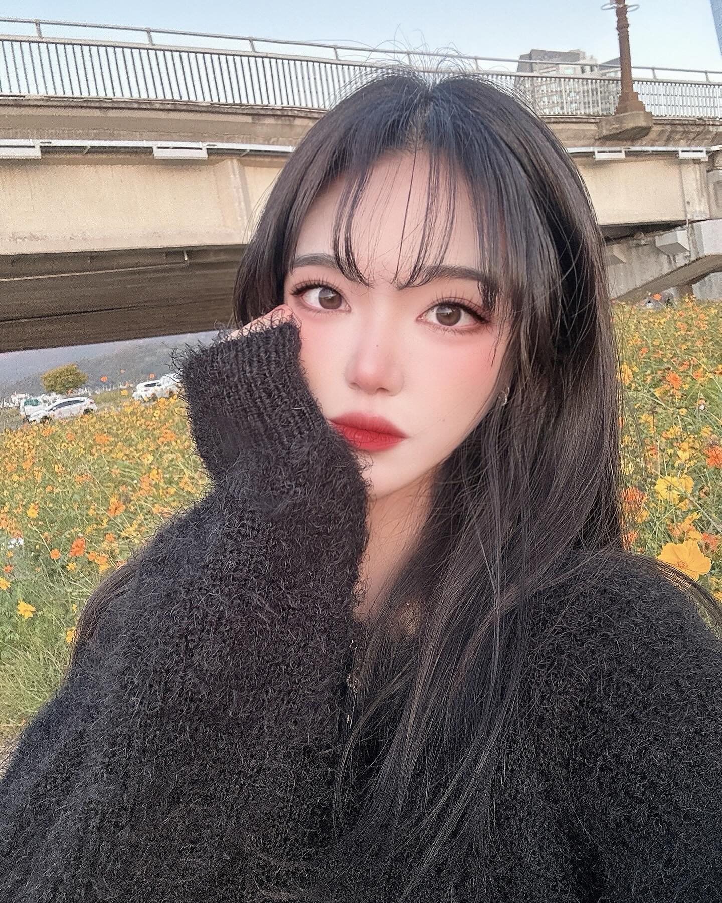 콘텐츠