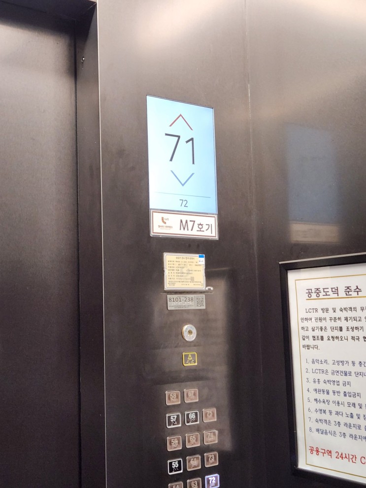 11월 부산 여행
