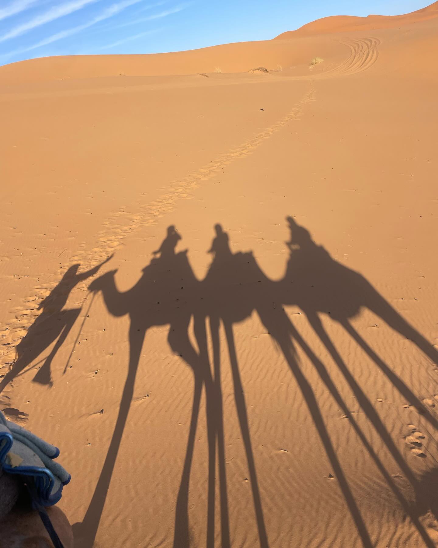 2023.9.22~2023.9.26

🇲🇦Morocco🇲🇦

나 진짜 행복했다 진짜로❤️💚