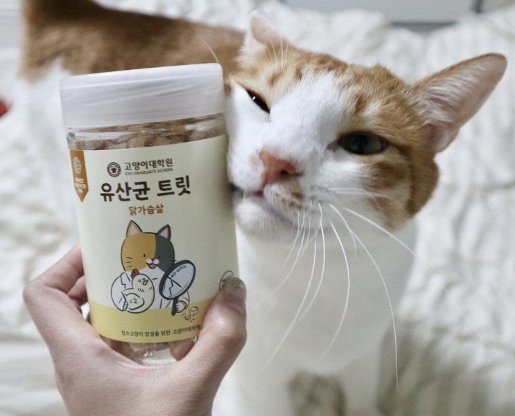 고양이 간식 | 고양이 장케어를 위한 ‘고양이대학원 유산균 트릿 (닭가슴살 45g)’