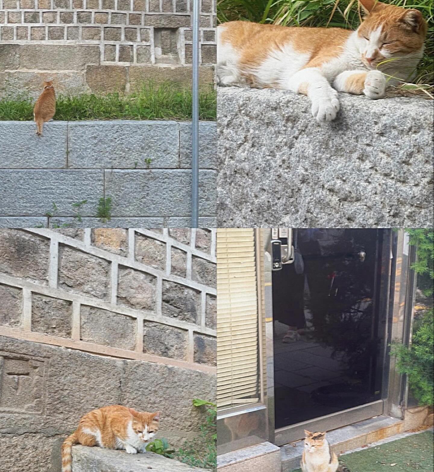 현이랑 영희랑 ₍ ̂ˑ̫̈̄ ̂₎