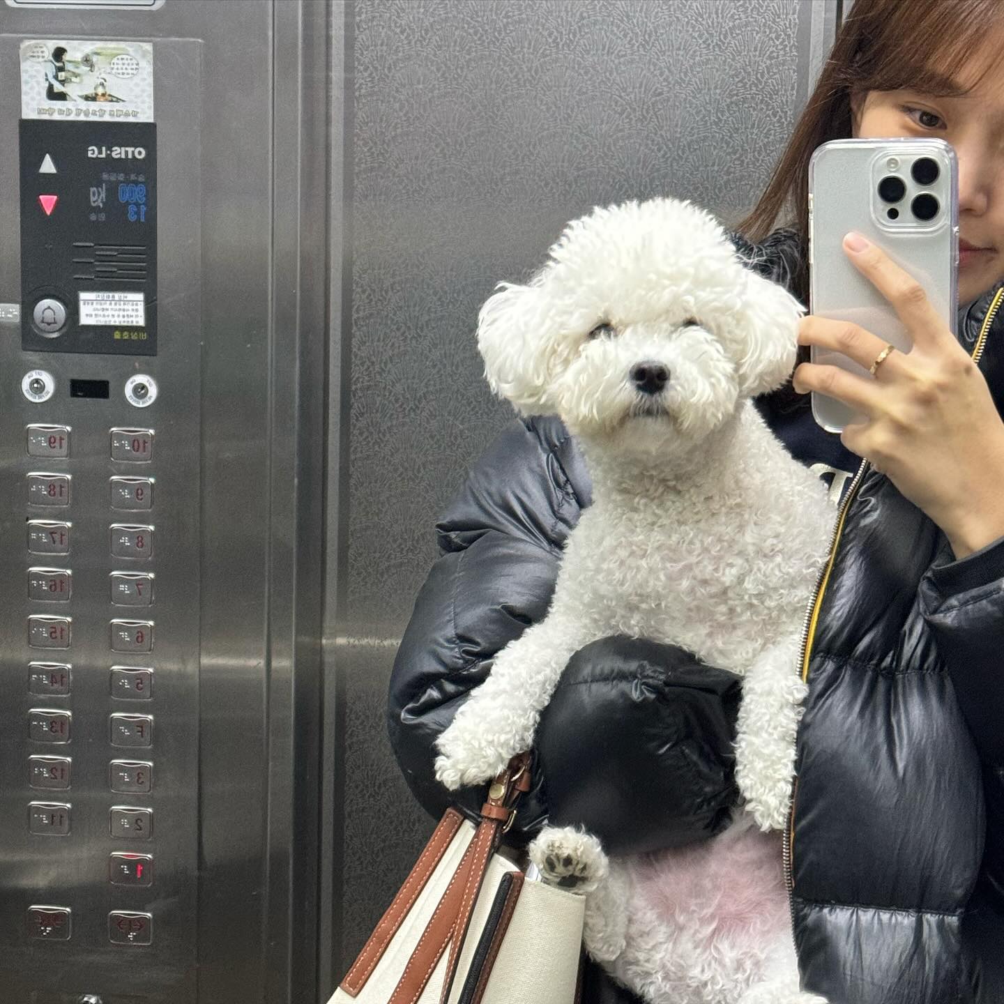 꾸질이 탈출🤍