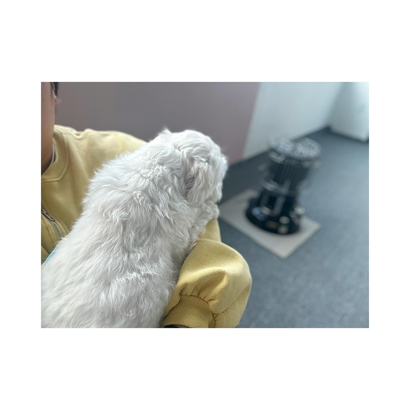 -
회사만 오면 안아강아지가 되는 손또복이,
-
그르케 혼자 잘놀고 다 잘하는데...
회사만 오면 자꾸 안아줘 강아지가 되서는 안아주라그러고
옆에서 만져줘야 자고, 안아주지 않으면 삐져서 
째려보고 ㅋㅋㅋ엄마도 일을 해야 니 밥값을 벌꺼 아니냐 ㅋㅋ
협조좀 하자 또복아 ㅋㅋㅋ