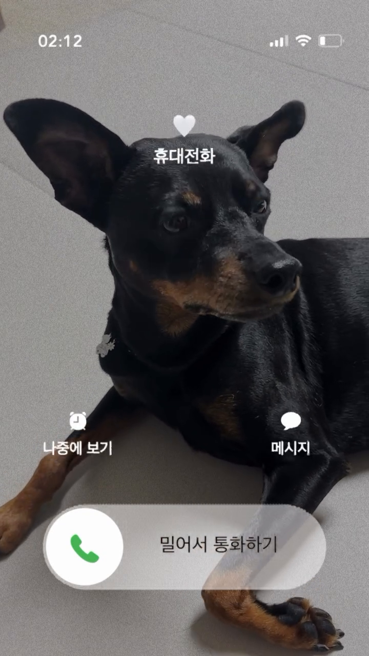 진짜로 우리 코코가 전화할 줄 알았으면 좋겠다💜📱