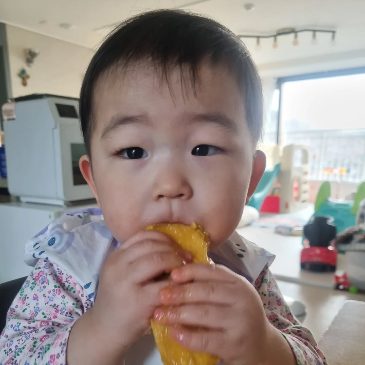 D+480🌸

얼집가고 더 어린이스러워진 꿀별이 근황🐥

세상 촌시러운 벚꽃룩 입고 벚꽃뷰🌸🥰
(담주엔 창문 닦아야디)