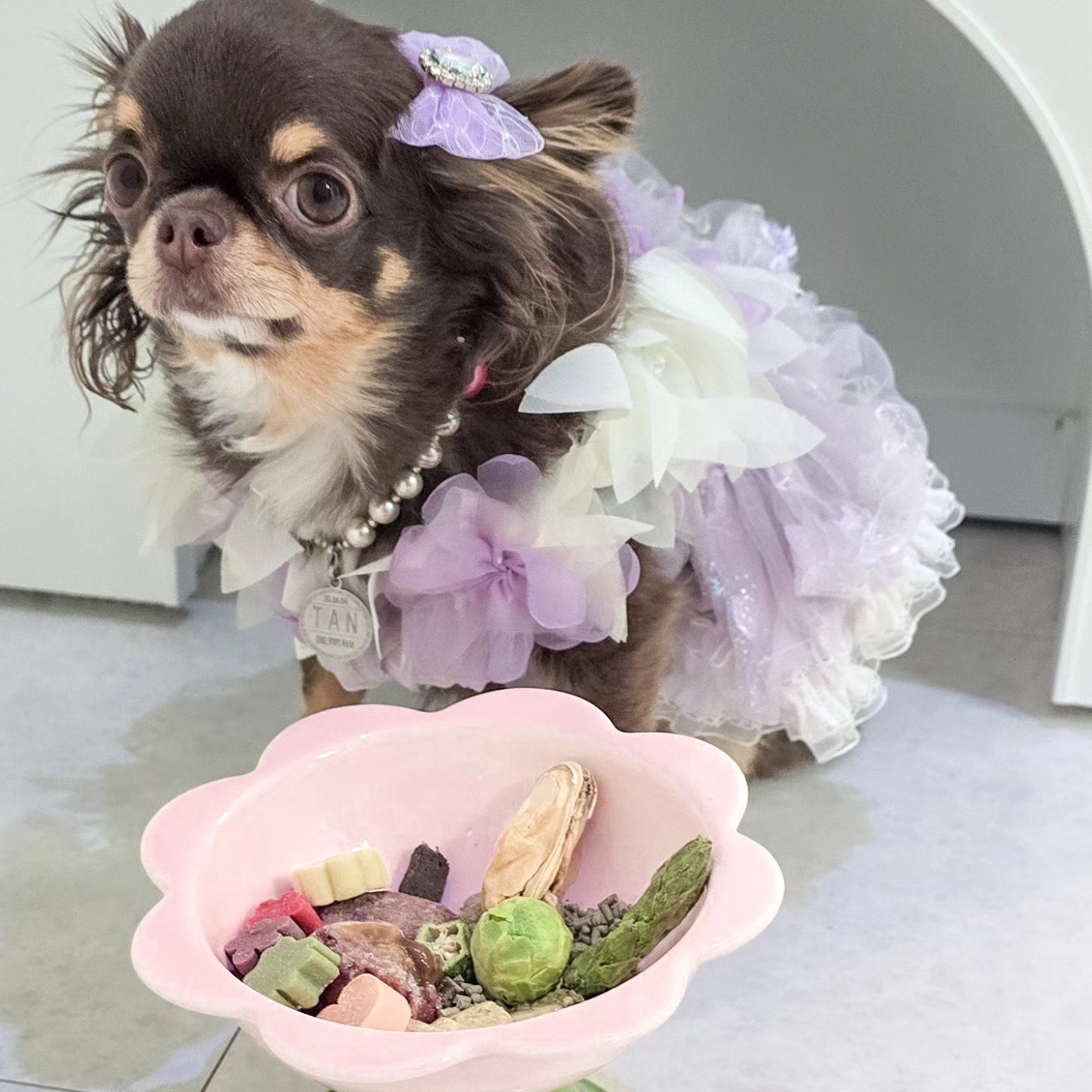 탄이 밥그릇에🌸 꽃이 피어쬬(*＞∇＜)ﾉ

일케🩷 예쁜 밥그릇 본 팅구들🐶 이씀 나와보라해!!(´ω｀*)

탄이는🩵 밥꾸에도 신경을 쓰기 때문에✌️ 개식기에 엄청 민감한😝 트렌드세터라궁ヽ(●´ε｀●)ノ

이번에 오멍에서🤗 새로나온 핑크핑크한 예쁜꽃그릇으로🩷
새로 장만해봤능데 어때?!(ﾉﾟｰﾟ)ﾉ

탄이 키에 딱맞는 높이에☺️ 살짝 경사도 있어👍 밥먹기에도 너무 편하고🤗 안전한 세라믹 소재라 믿고 사용할수 있다궁(* >ω<)

화이트🤍 핑크🩷 라벤더💜 스카이블루🩵 4색상인데 물그릇으로 한개더🫶 장만해야게쬬ヽ(･ω･´)ノ

ohmeong.official

#밥꾸에진심
#오멍 #강아지식기 #강아지밥그릇 #밥꾸 #강아지키높이식기 #반려동물식기 #강아지밥그릇 #고양이물그릇 #고양이식기