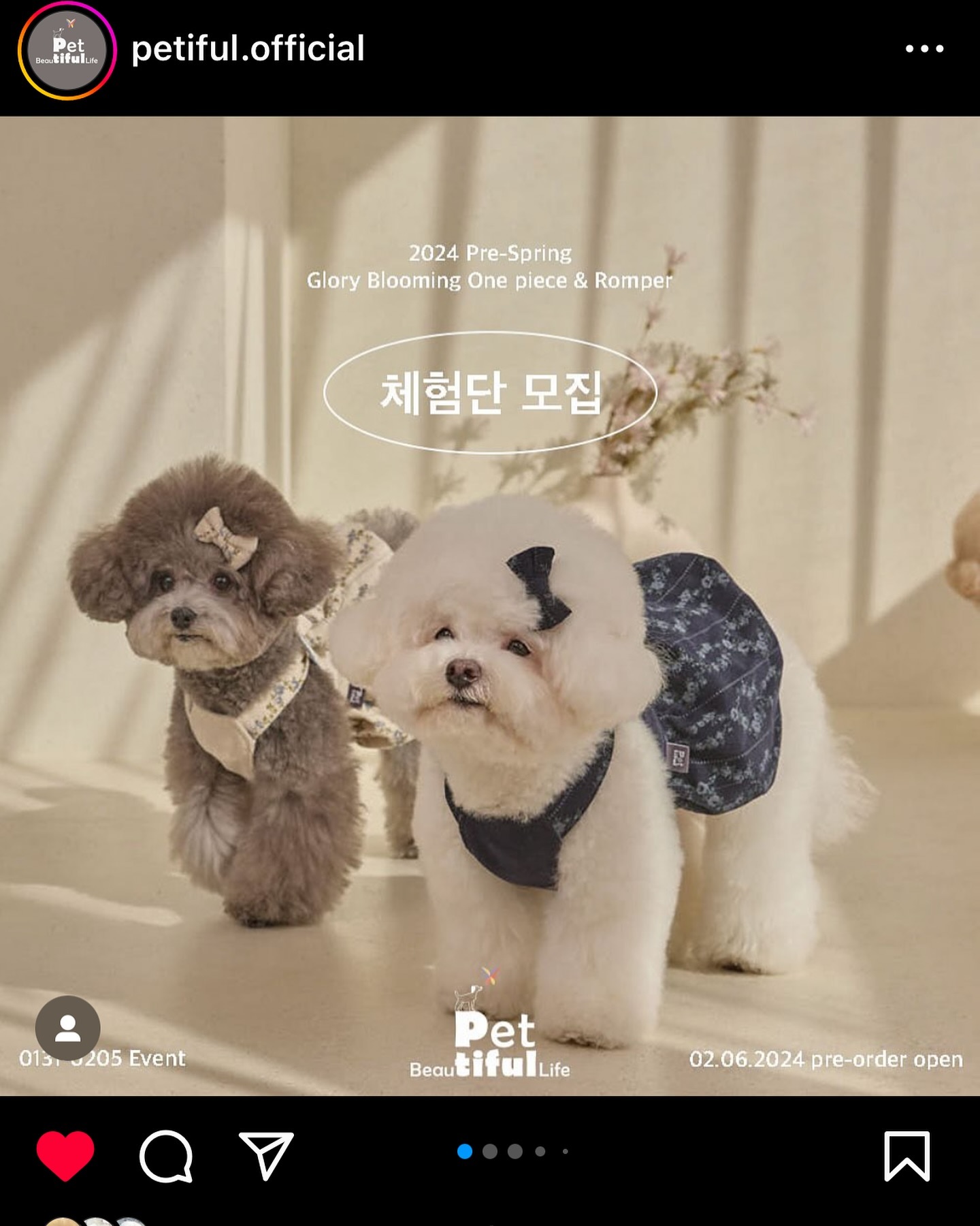 #페티풀 #블루밍원피스
바지 버전 루이랑 찰떡일 거 같당..ㅠㅠ