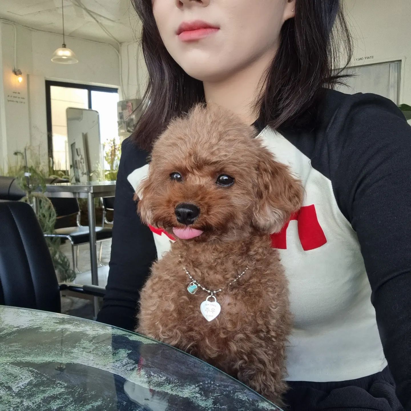 여유를 즐길 줄 아는 댕댕🍀
