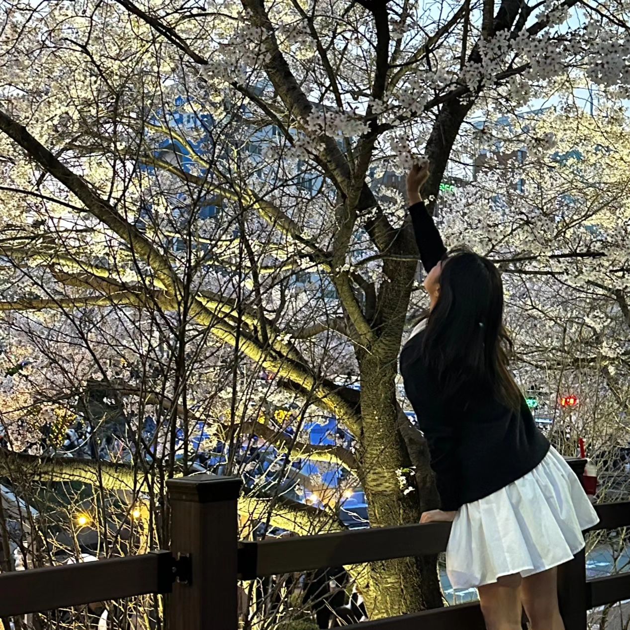 아 예뿌다🌸

#불광천 #불광천카페 #불광천벚꽃 #불광천산책 #벚꽃축제 #벚꽃 #서울벚꽃 #서울데이트 #벚꽃데이트 #봄코디 #데이트룩 #데일리룩 #벚꽃명소 #벚꽃구경 #좋아요