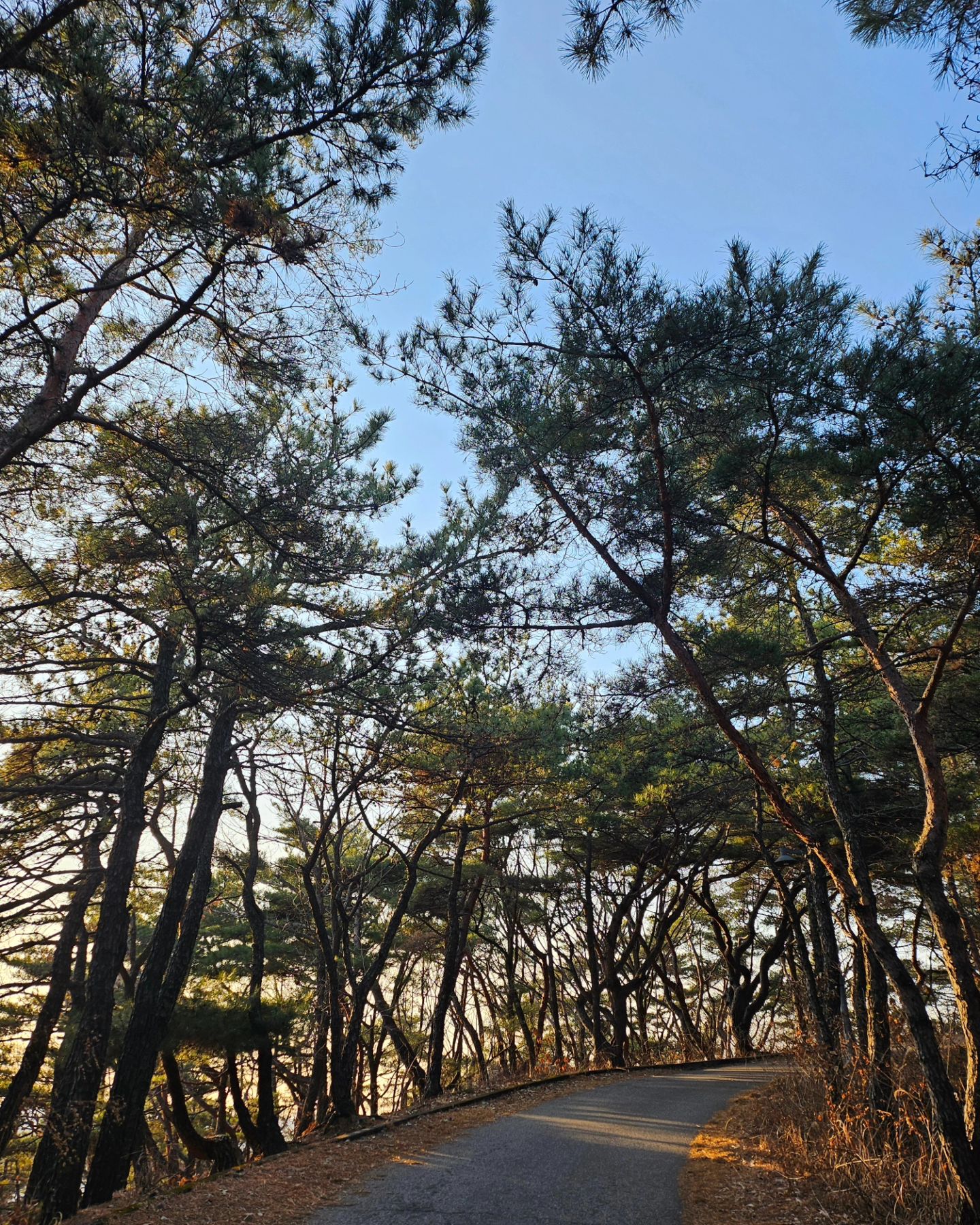오랜만에 등산💫

#망해암