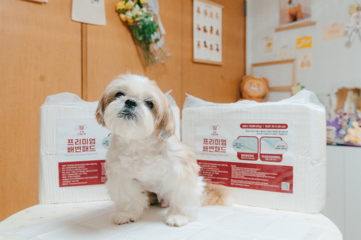 흡수력 좋은 강아지 배변패드﹝제이엠코코 프리미엄 배변패드﹞🐶