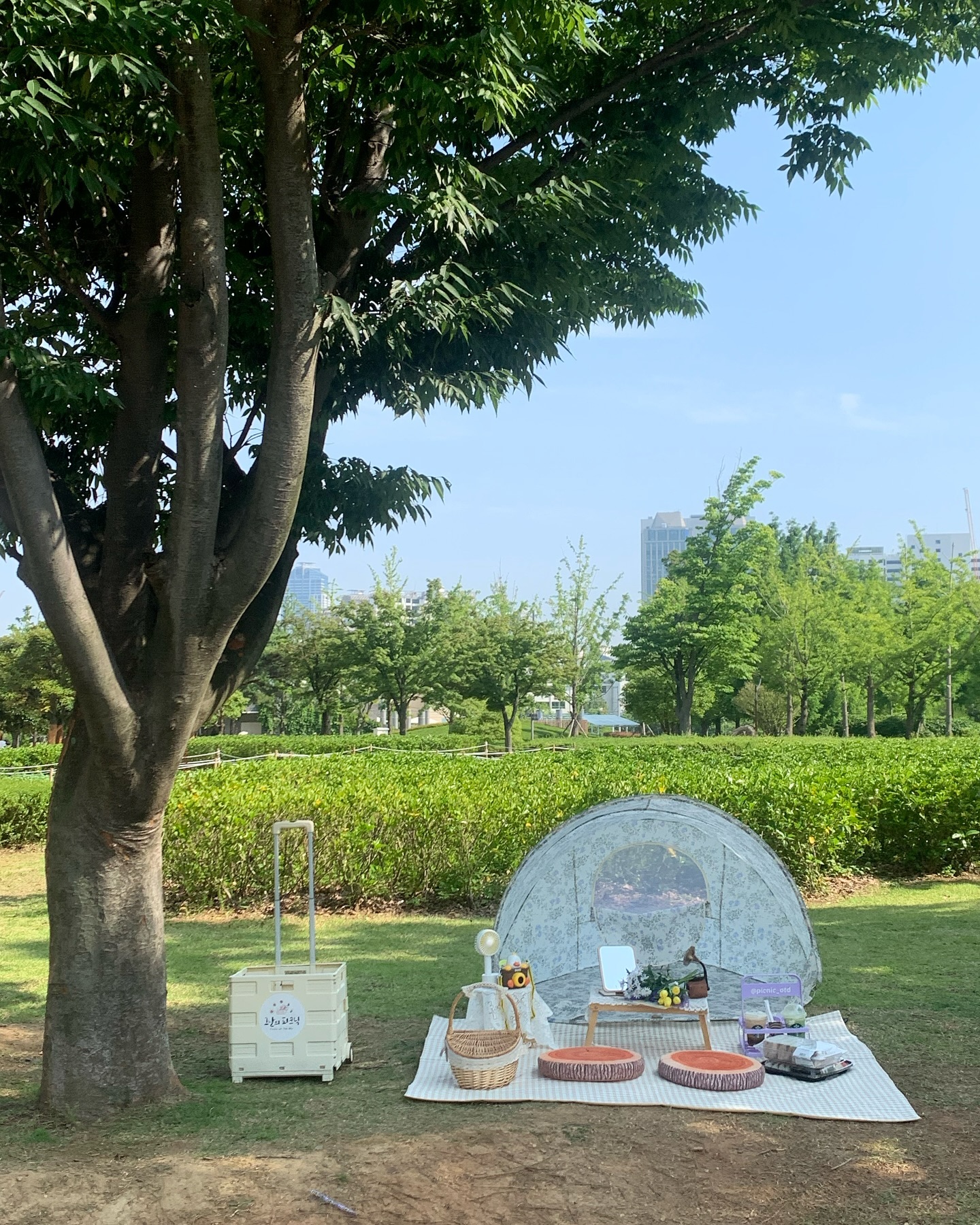 #협찬 | picnic_otd 

날씨가 더워지기 전에 서둘러서 피크닉 막차 탑승하러 가요 💚

부산에서 1,000개의 네이버 리뷰로 인증된 피크닉 대여샵을 소개해 드릴게요 ! 그날의 피크닉은 모든 물품을 직접 셀렉해서 나만의 피크닉을 체험할 수 있어요 •.• 부산 시민공원 30초 거리에 있고 이마트 트레이더스 1분 거리에 있는 어디에도 없을 동선을 자랑해요 ⛧ 

사실 그날의 피크닉은 시민공원 피크닉 대여샵으로 워낙 유명하게 알려진 곳이라서 협찬으로 체험하기 전부터 알고 있었어요 🌱 내돈내산으로 이용했을 때도 하나부터 열까지 너무 만족스러웠던 기억이 생각나요 ˖◛⁺˖ 햇빛을 받으면서 하루를 여유롭게 보내고 싶다면 주간 시간대로 ☀️ 선선한 바람으로 하루를 잔잔하게 끝내고 싶다면 야간 시간대로 🌙 소중한 사람과 새로운 추억을 만들 수 있는 그날의 피크닉 추천해요 .. ✎ꪑ

#그날의피크닉 #부산시민공원피크닉대여 #부산시민공원피크닉 #부산시민공원 #부산피크닉 #부산피크닉대여