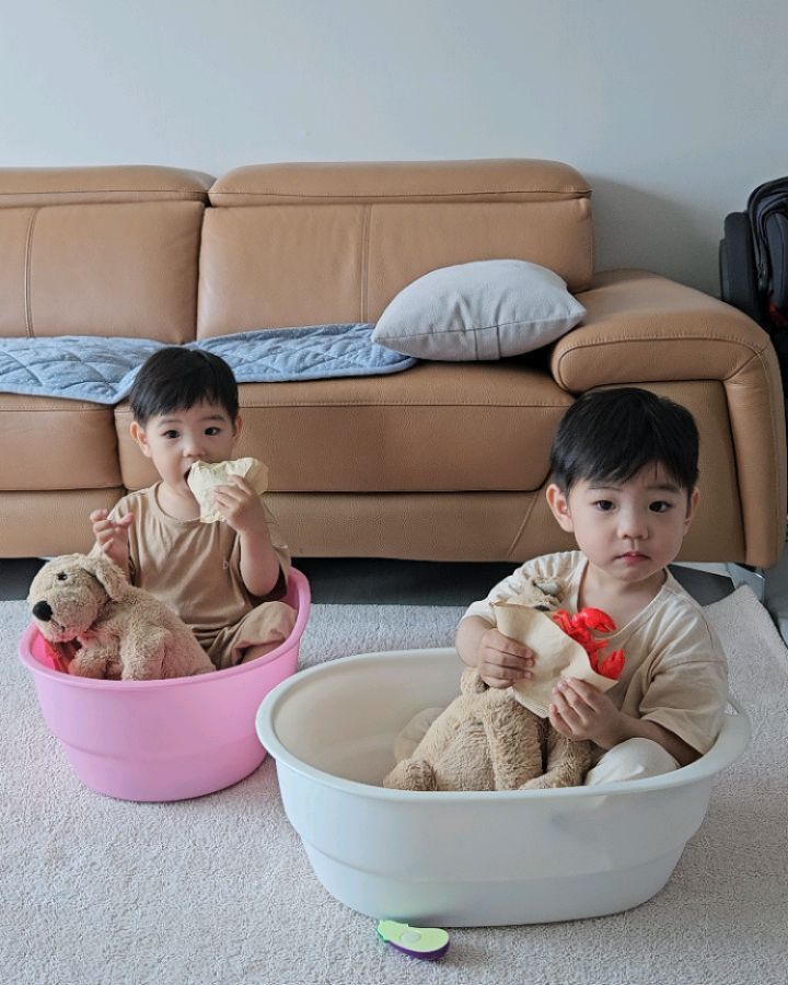 사랑스런 둥이들 근황
신생아때 욕조ㅋㅋㅋ 와 언제 이렇게 컷니~~?
정말 아가들 빨리크는것 같다.

#19개월아기 #쌍둥이일상 #쌍둥이형제 #육아일상 #육스타그램 #아기성장기록 #baby