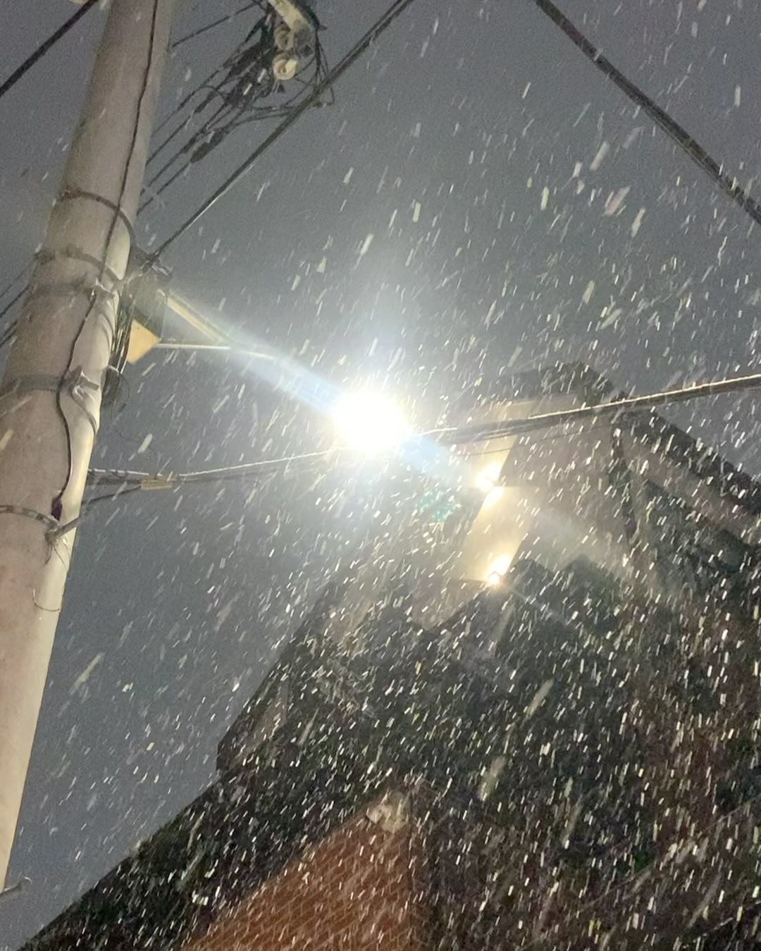 뽀득뽀득 여기저기 남겨보는 눈오는 오늘
