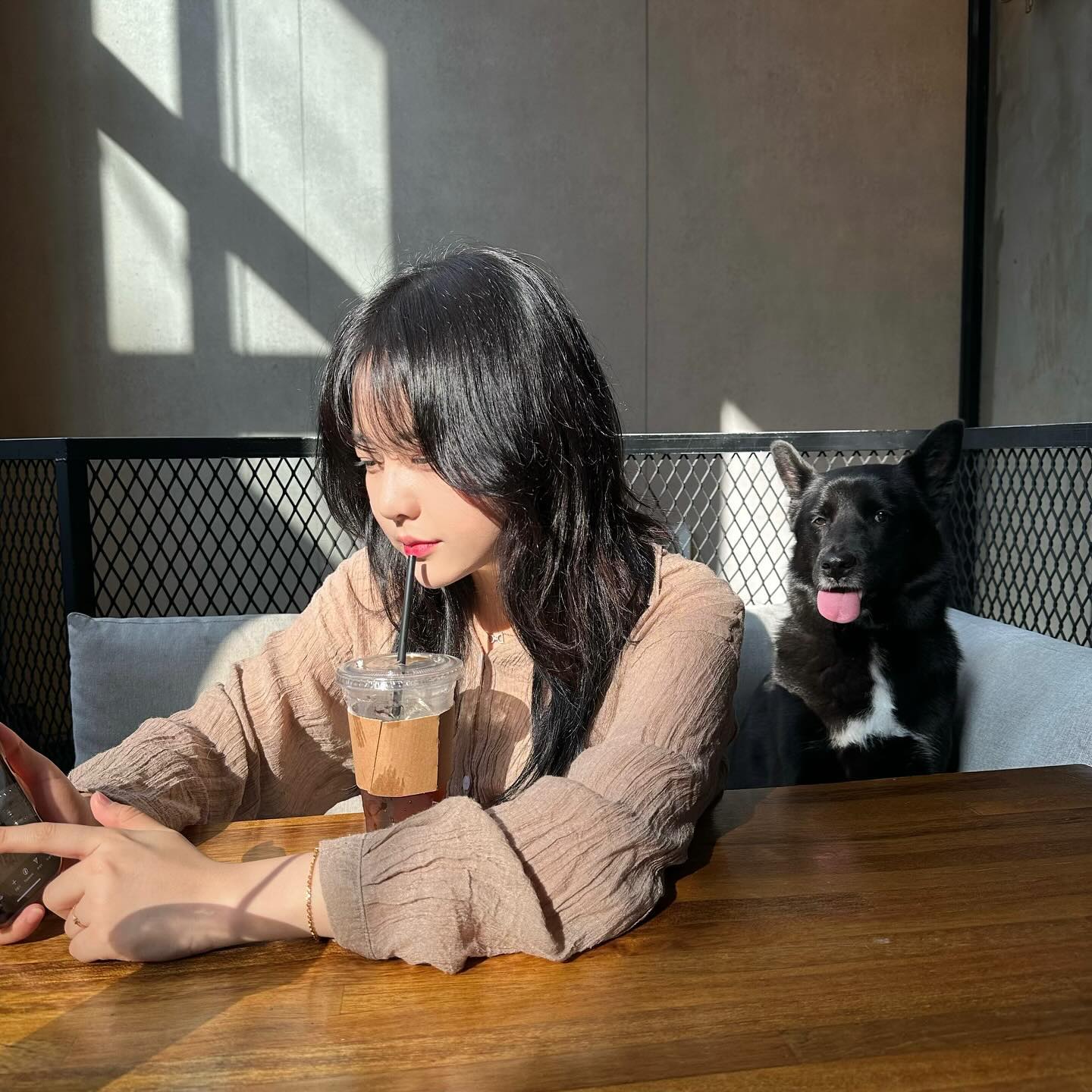 내 일상은 🐶