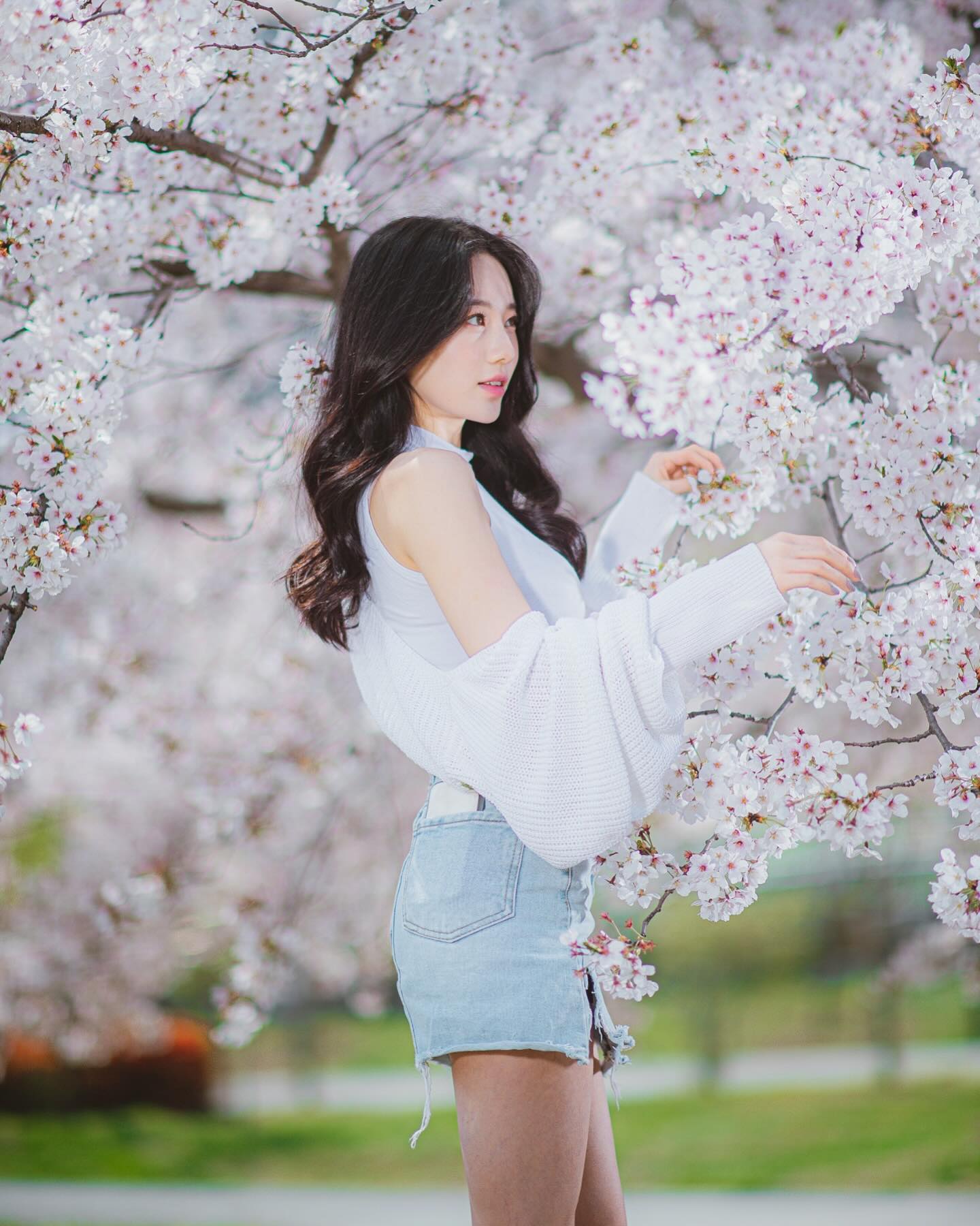 봄이야🌸