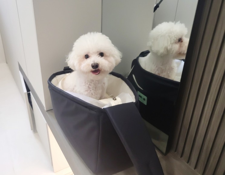 강아지산책가방 탄탄한 슬링백 오아이슬링백