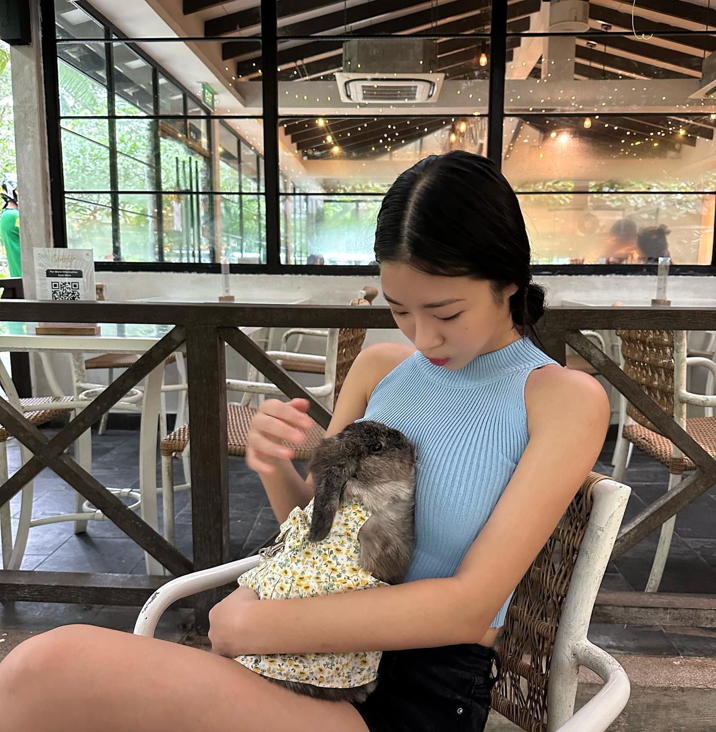 Brunch with foster bunny bimbim 🐰🤍