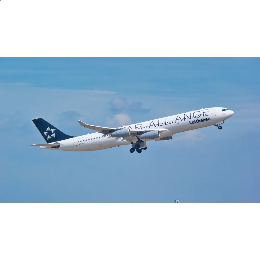 Lufthansa A343 Special Livery
------------------------------------------------------
✈️ Airbus A340-313 - D-AIFE
🛬 RKSI - Incheon Int'l Airport
🇩🇪 lufthansa 
-------------------------------------------------------
#Lufthansa #LufthansaGroup #루프트한자 #A343 #A340 #A340313 #A340Lovers #Airbus #AirbusLovers #사진 #Photography #비행기 #Airplane #취미 #Hobby #항공덕후 #항덕 #aviation #aviationlovers #aviationspotter #RKSI #Incheoninternationalairport #aviationphotography #airplanephotography #avgeek #airplanelovers #aviationgeek #Special #SpecialLivery #Staralliance
