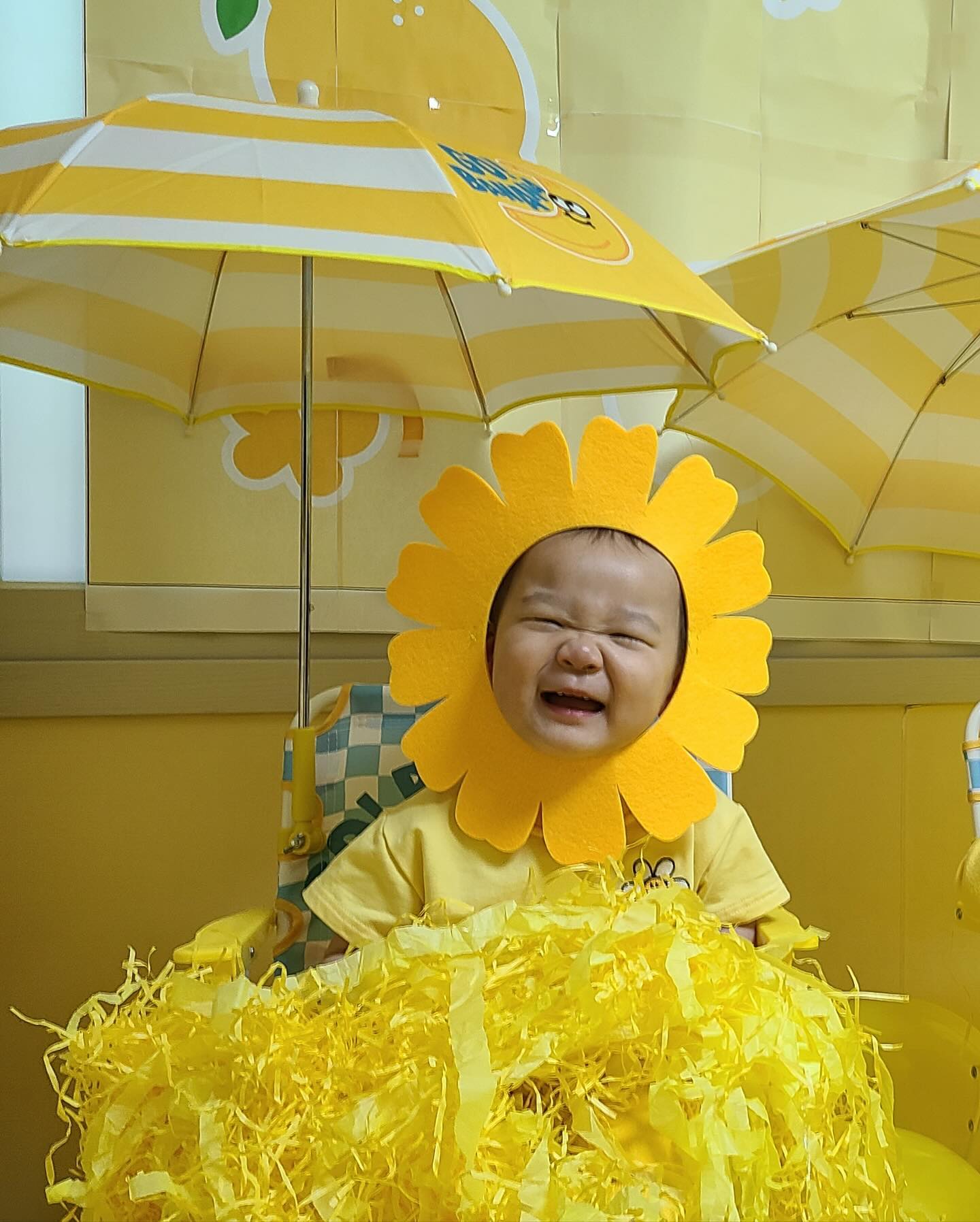 👶🏻+587일🫶

오늘은 어린이집에서 에어바운스 타고 노랑노랑 종이도 날리고
드레스코드  노랑으로 맞춰입으라해서 오늘은 노랑공주💛
가정어린이집 이지만 활동도 다양하고 체험도 다양하고
선물도 많이 주심!!
에어바운스 타면 서윤이는 소리때문에 항상 짜증내고 울고 하길래
오늘 그냥 어린이집 보내지말까.. 하다가 그래두 적응해야지 하고
보낸건데 등원할때 울길래 마음이 안좋았는데 원장님이 그걸 알아서
그런가 따로 카톡으로 서윤이 사진 왕창 보내줌👍
웃는 사진 보니까 마음이 놓인다~🤍

#윤서유니#에어바운스대여#가정어린이집추천#노랑노랑#노란옷💛#선생님최고👍#원장님최고👍