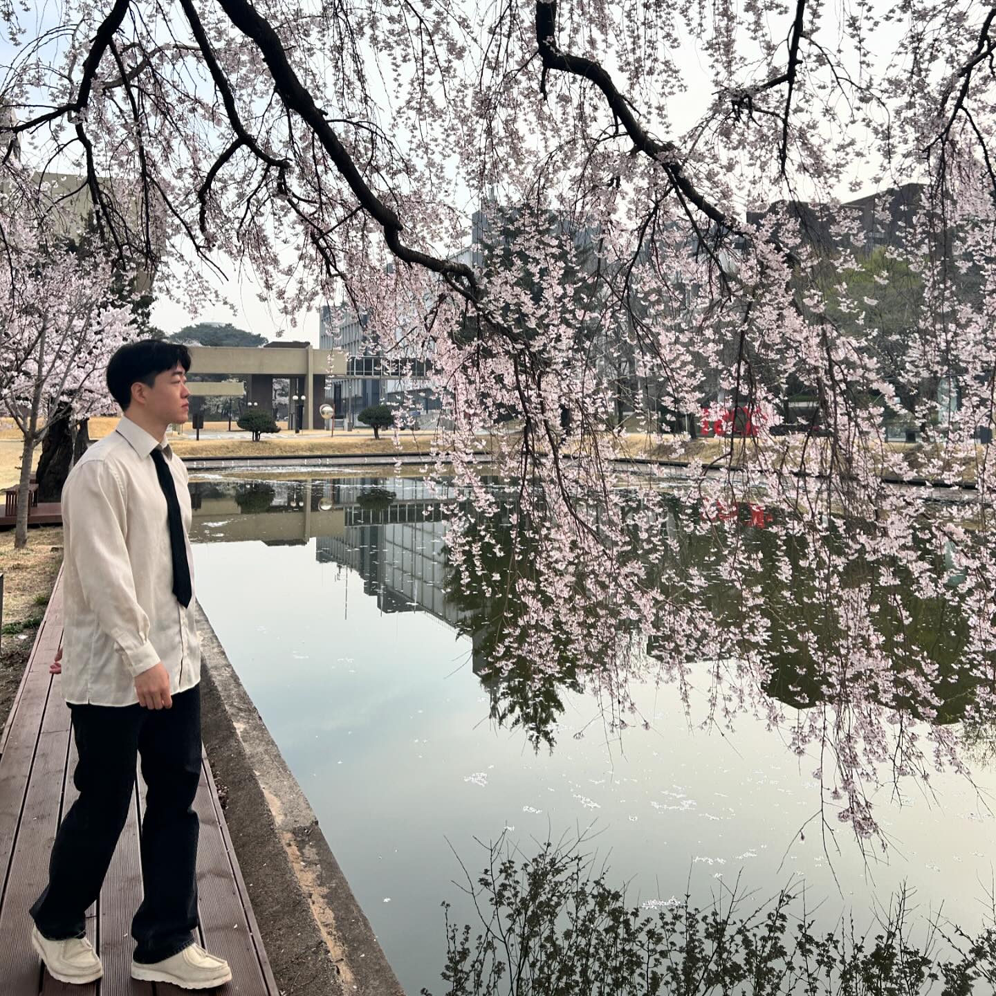 #벚꽃 🌸 늦은 피드 올리기~
취준 응원 부탁드려요~

퇴사 이후 휴식 기간 새로운 취준 화이팅!!!

#패션 #서울 #스냅사진 #디지털카메라