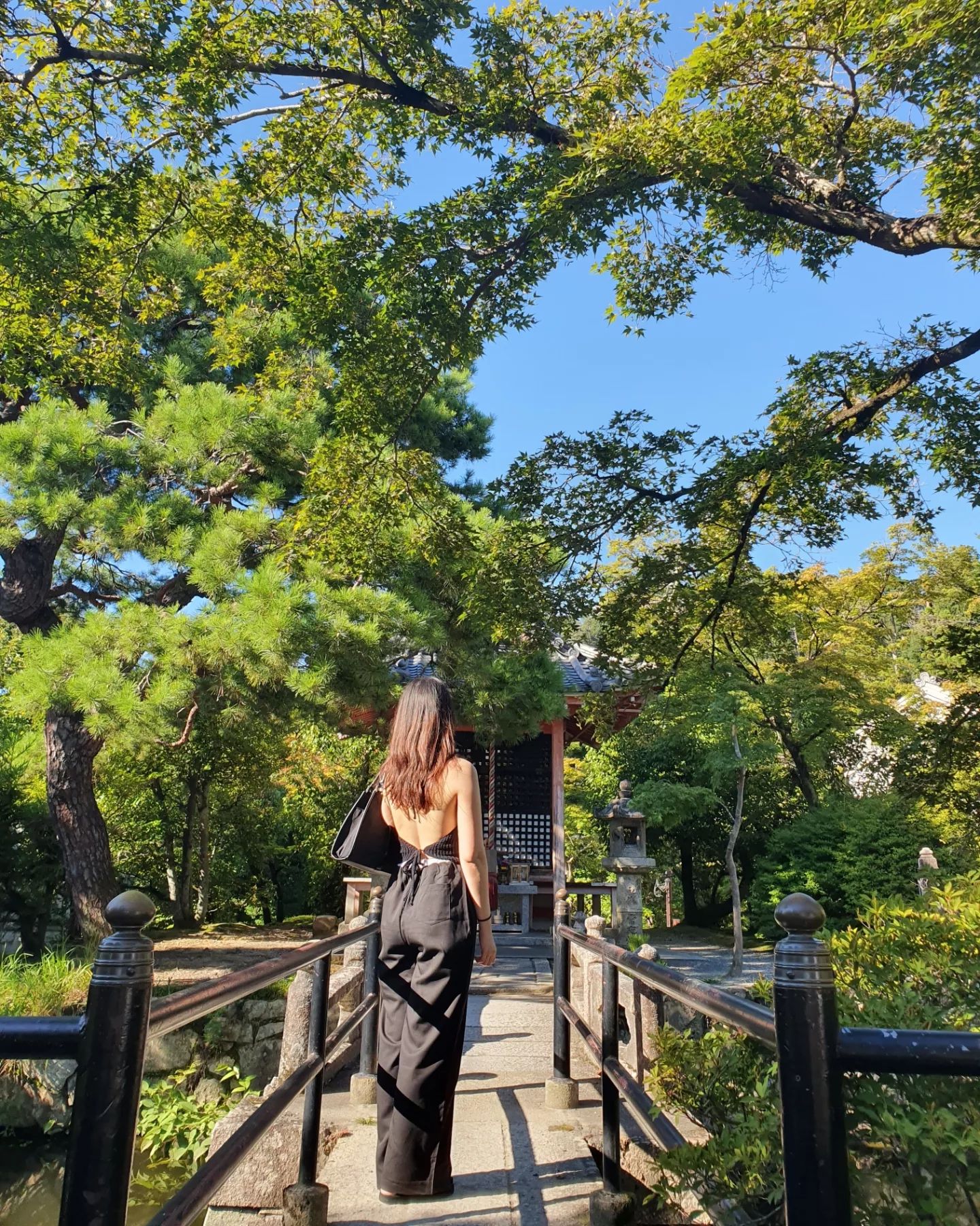2023.08.25~29 오사카 여행 기록
교토
청수사
니넨자카
오사카성

꿀팁?

청수사
여름에 가지마세요😰
더워 죽는줄...습도 미쳤어요 ㅋㅋㅋㅋ
청수사 다올라와서 들어가는거 포기했어요ㅋㅋ

청수사 내려와서 식당가 그게 다에요 더없나 내려가지말고 거기서 드세요

청수사 올라가다 녹차롤 빵? 그거 꼭 사세요 제일 맛있음 맛보세요 꼭이요
단, 많이 사지마세요 면세점에서도 팔아요 면세가 조금 싼걸로 기억

야경보러 니넨자카 거리가세요 청수사랑 가까워요
해지면 사람 별로 없어서 사진 더 이쁘게 잘나와요

다른곳은 일찍 닫고 스타벅스는 8시까지해요
스타벅스 꼭 들려서 음료마시고 오세요

버스타고 내려와서 시장 구경하시고
가모강에서 꼭 맥주한잔 하세요! 
가모강 헌팅의 메카임ㅋㅋㅋ

오사카성
패스권있으면 줄안서도 되요
일본어 할줄 몰라서 30분 줄서서 기다렸어요ㅋㅋㅋㅋ

들어올때 나갈때 코끼리열차 같은거 꼭 타세요

패스권있으면 크루즈 꼭 타세요
배타는거 있어요 크루즈 먼저 예약하시고
오사카성 둘러보세요
예약해야되더라구요...저는 못탔어요ㅠㅠ
크루즈예약은 오사카성 뒷편에 뒷문으로 나가세요
정문으로 나갔더니 넓어서 걸어가기엔 힘들어요
크루즈타고 한바퀴 도세요
나올때 코끼리열차 타고서도 한바퀴도니까요 안걷는게 좋아요ㅋㅋㅋ

오사카성 앞에 루프탑 카페있어요
거기서 사진찍고 음료수도 한잔하세요

#교토 #청수사 #니넨자카 #오사카성 #교토다시가고싶다 #교토꿀팁