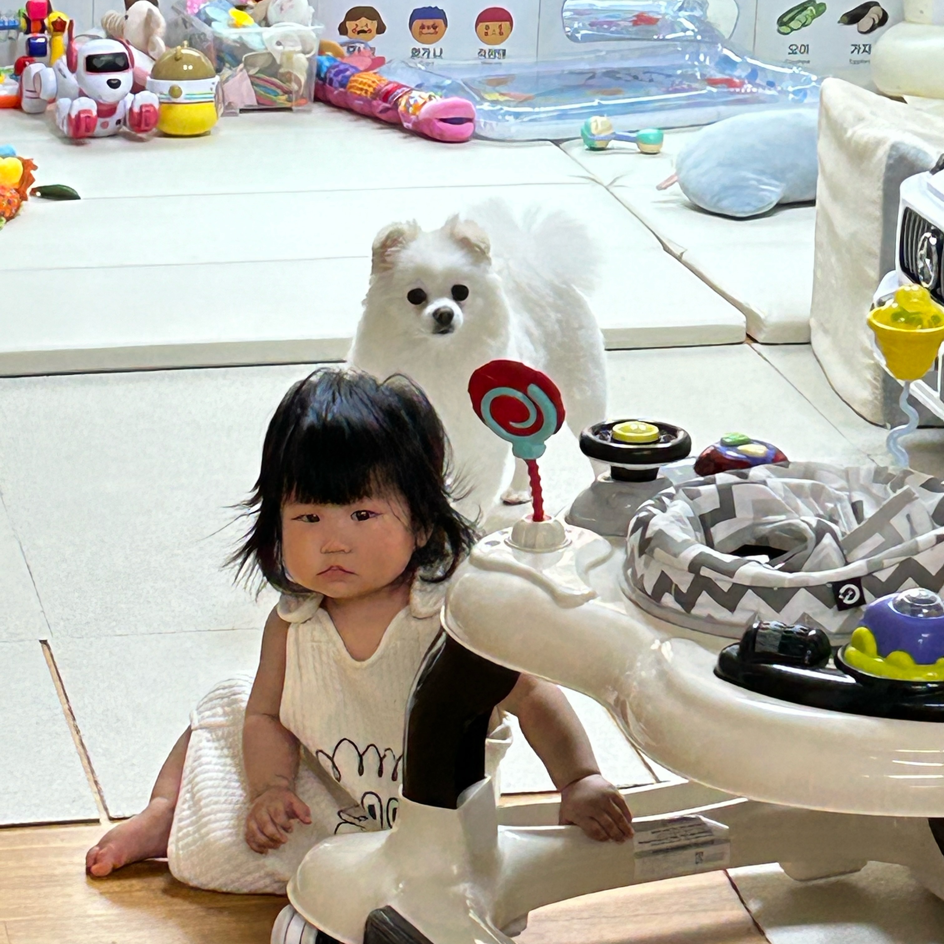 🐶👶🏻 애개육아