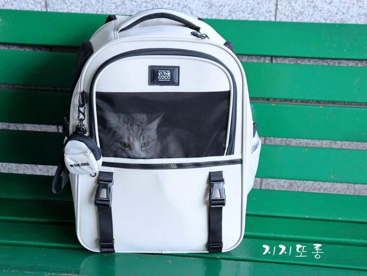 고양이백팩 인더코코 고양이 이동가방 튼튼하고 편해요