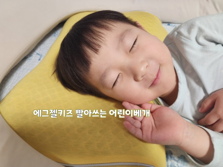 바디씨 에그젤키즈 어린이베게 땀많은 우리아이 세균으로부터 안전하게 사용해요
