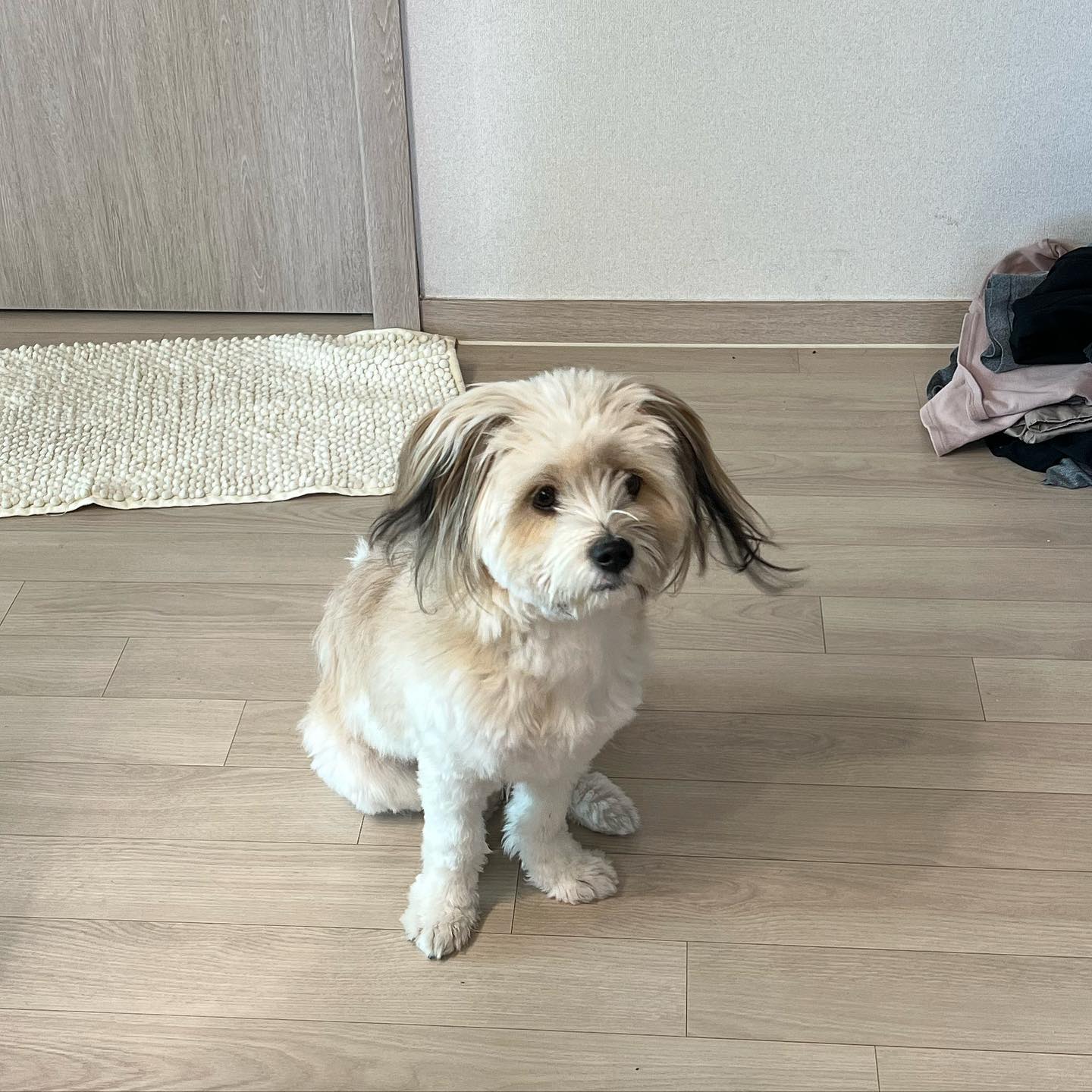사랑에 빠지기 충분한 시간, 1초

#첫눈에 #반했다