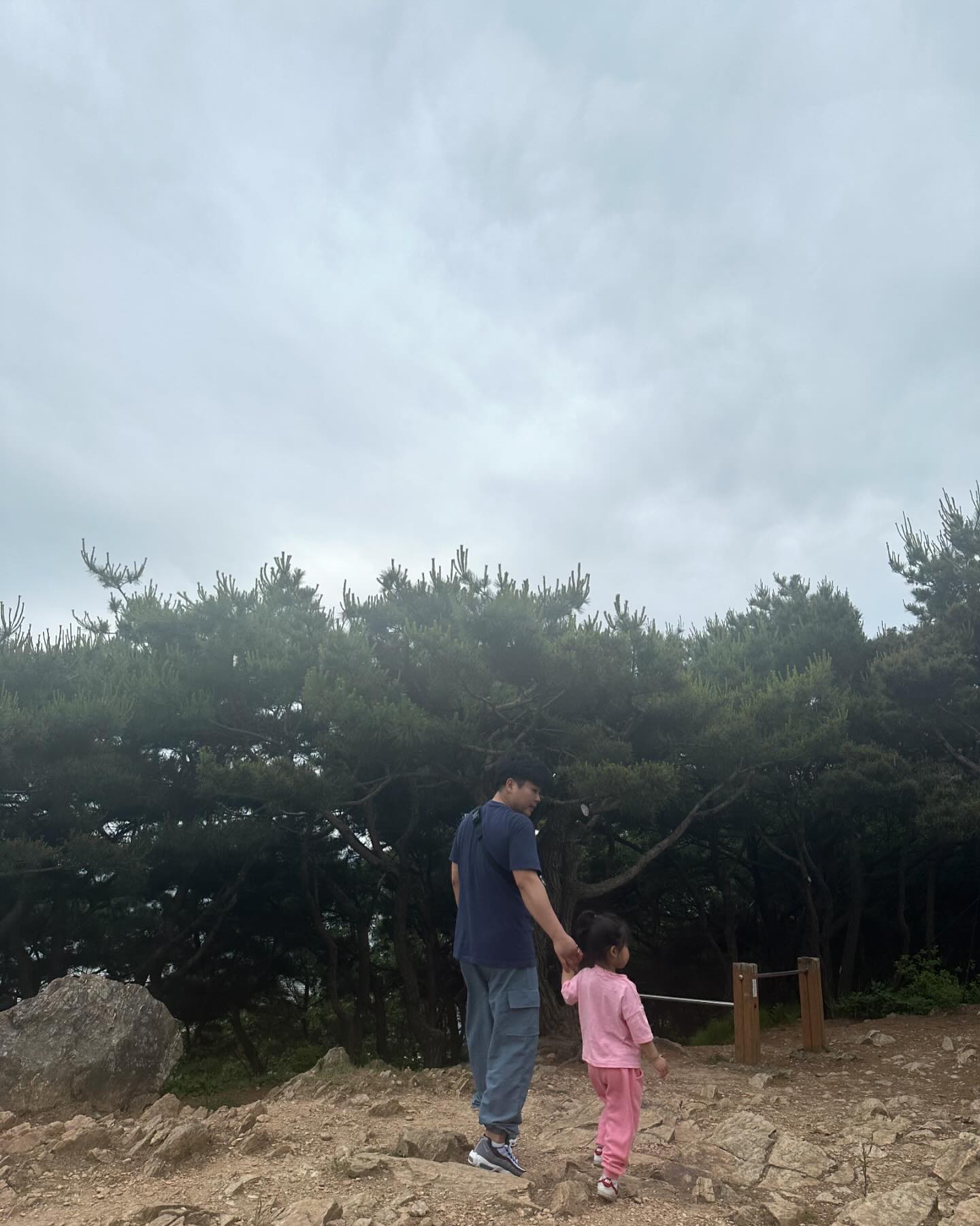 가족완전체 첫등산💚
비오기전 후다닥 산타고오기
냐니 체력이 대단하다는걸 다시한번 느낀 날
숨에 헐떡이는 나와달리
냐니안고 하산하는 오빠 멋져..👍
#자주등산하자 #내체력무엇🤷🏻‍♀️ #후들후들내다리 
#냐니자이저 #아빠와딸❤️ #등산스타그램🌲🌳🌿