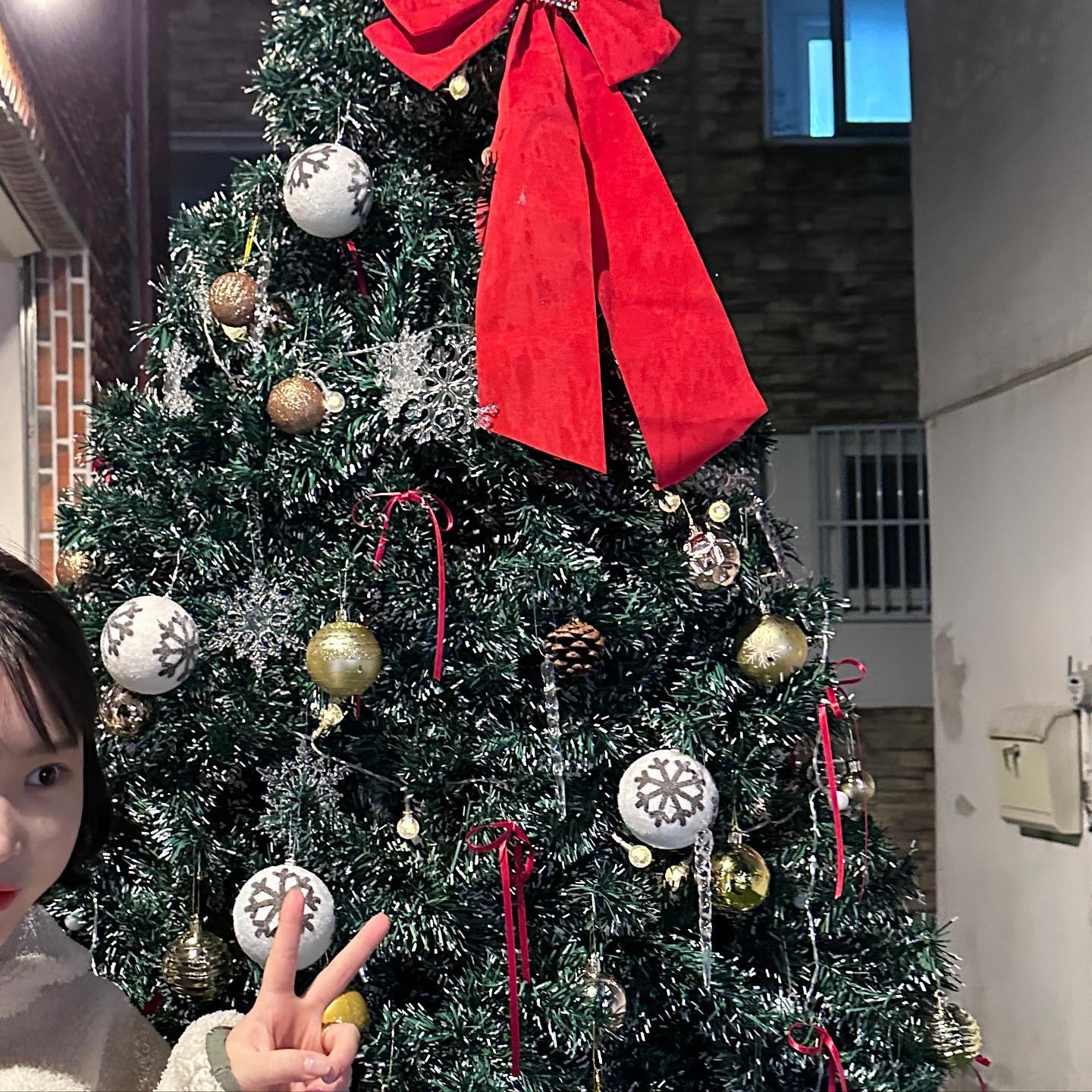 크리스마스 🎄벌써끝났어 ?