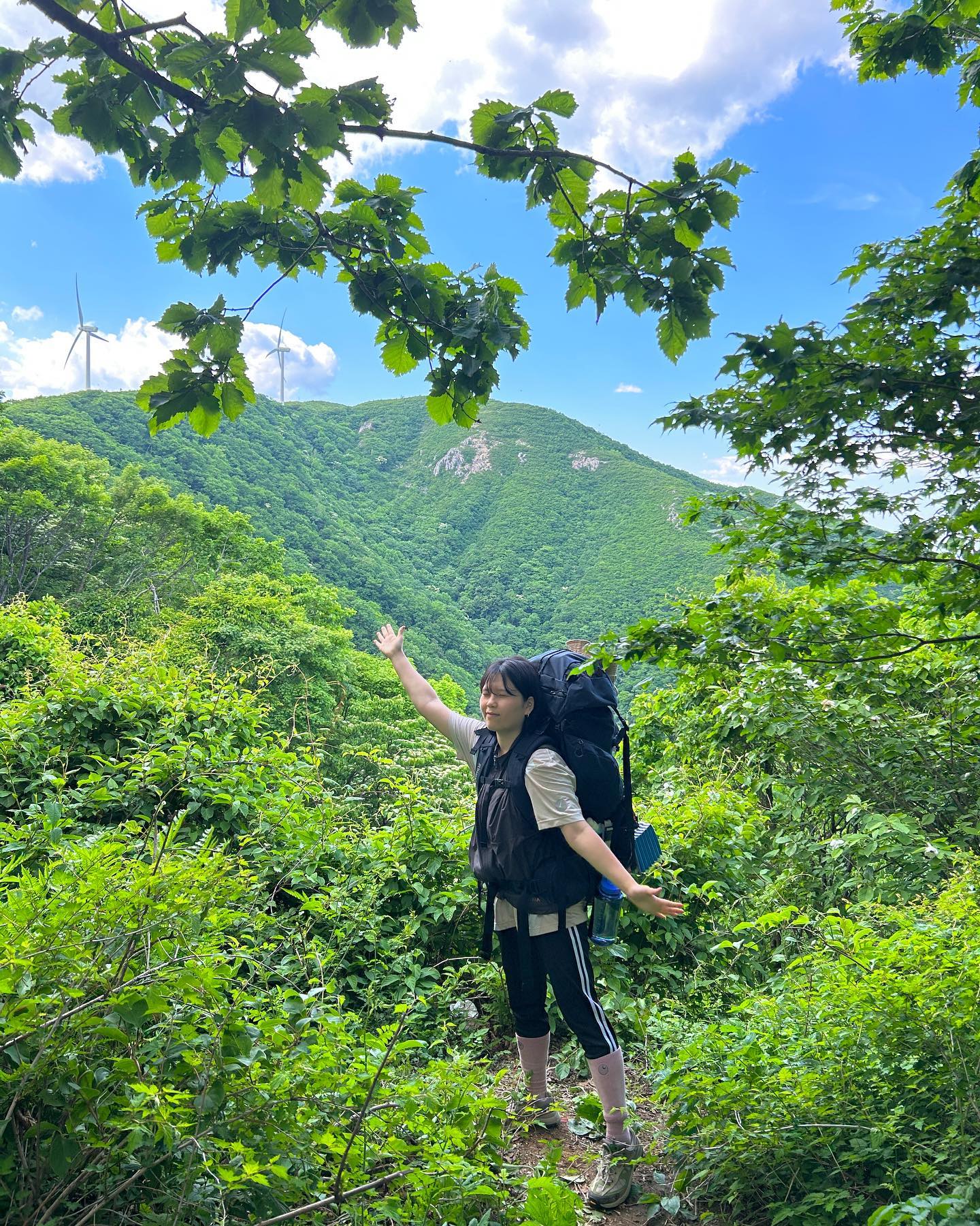 백패킹 터벅터벅
울창한 숲속길 🍃

날씨가 도왔다...