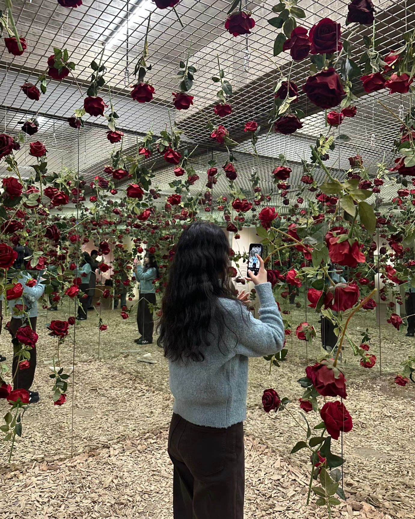 🌹