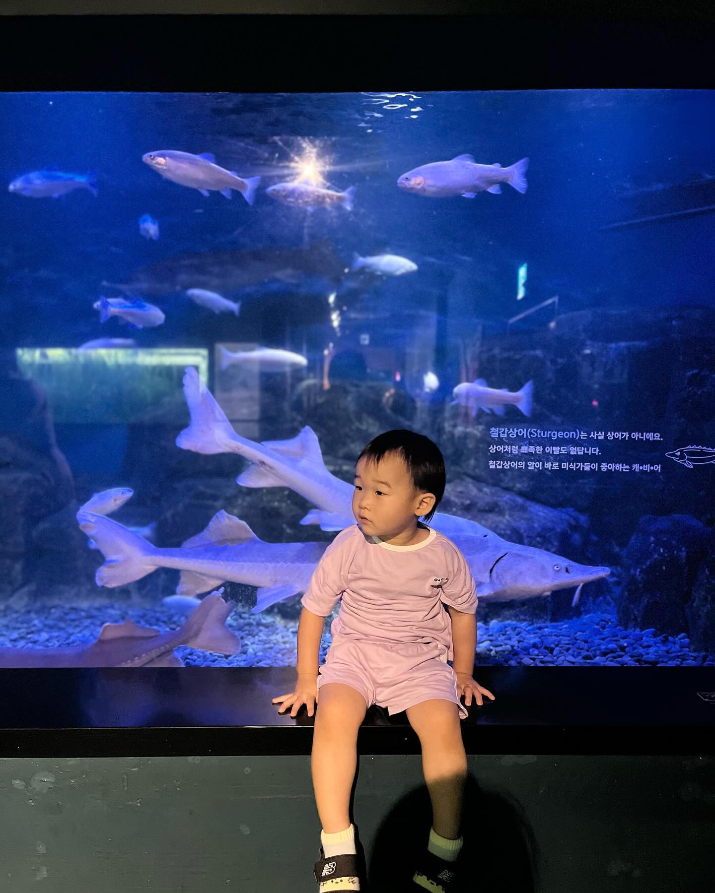 D + 846

방학 2일차👶🏻

아쿠아리움 - 맥도날드 - 구강검진

도겸이와 함께 아쿠아리움🐠🐟🐡
작년에 아쿠아리움에서 하나도 물고기에 관심없어서
올해도 관심없을려나 했는데
올해는 생각보다 잘 관람해서 쀼-듯❤️
도겸이와 함께해서 행복했던 방학 2일차!

구강검진도 다녀옴! 생각보다 잘 끝내서 다행!
치카치카 열심히 하자!!

#27개월아기 #대구아쿠아리움 #대구아기랑갈만한곳 #방학2일차 #공동육아는사랑입니다❤️