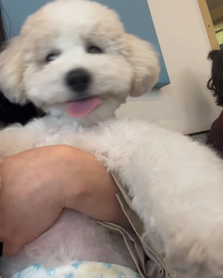 요즘 주말마더 카페 가는 율무씌 
2시간 꽉 놀면 댕뻗음🤣 우주인이랑 접선중⚡️