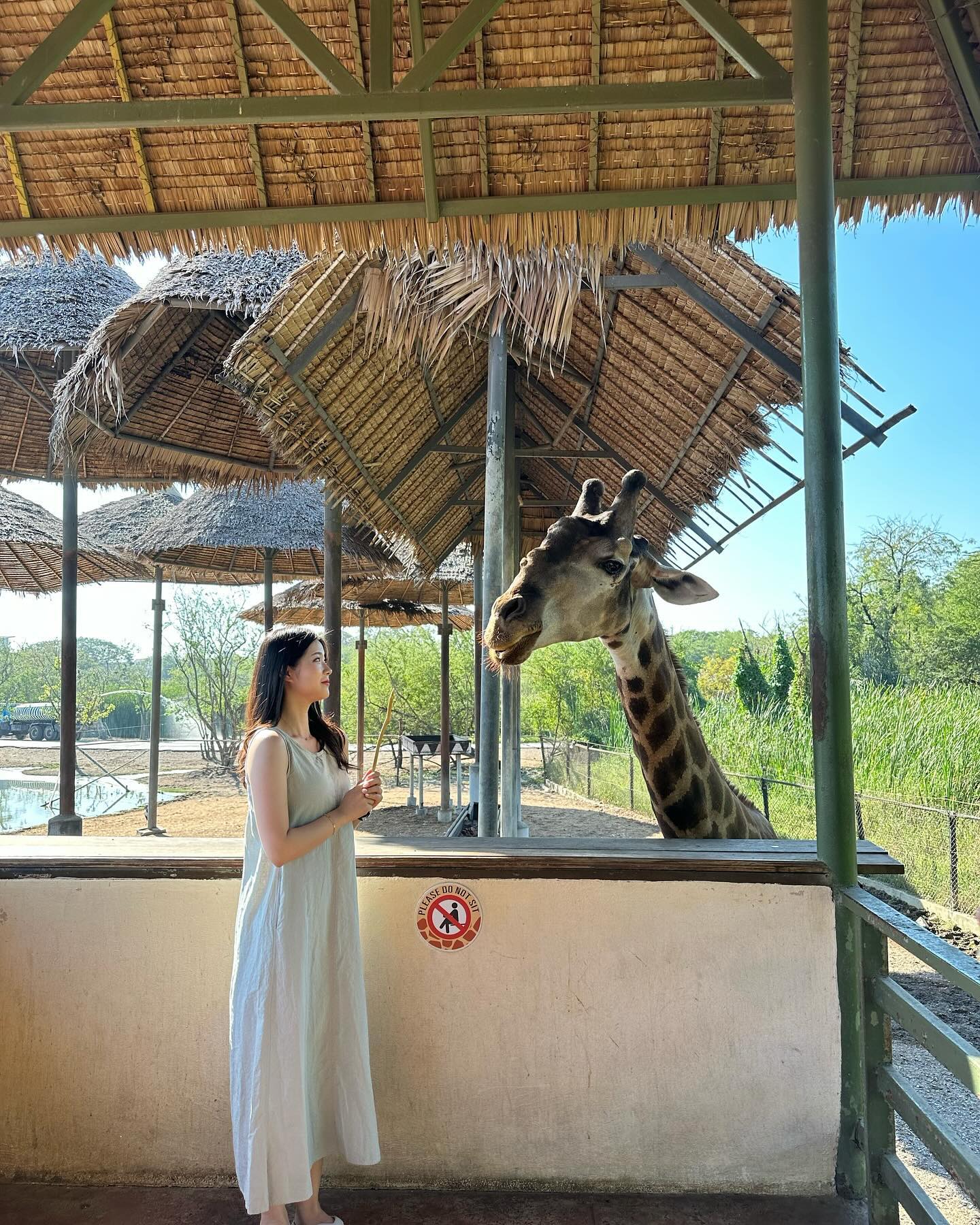 🦒이랑 🐅