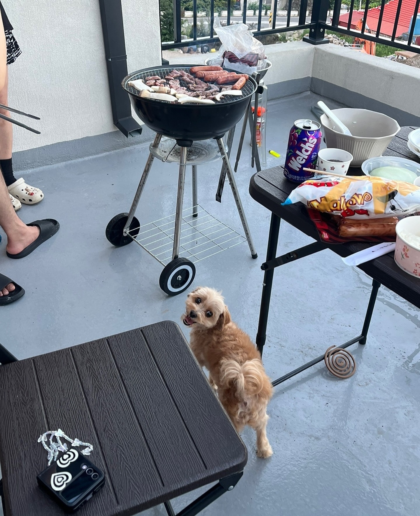 뽀리도 고기 쥬라규~!!!! 🍗🥩🍖