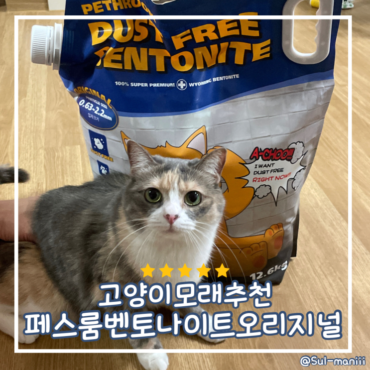 [고양이모래추천] 페스룸 벤토나이트 오리지널 먼지 없는 고양이모래 사용후기