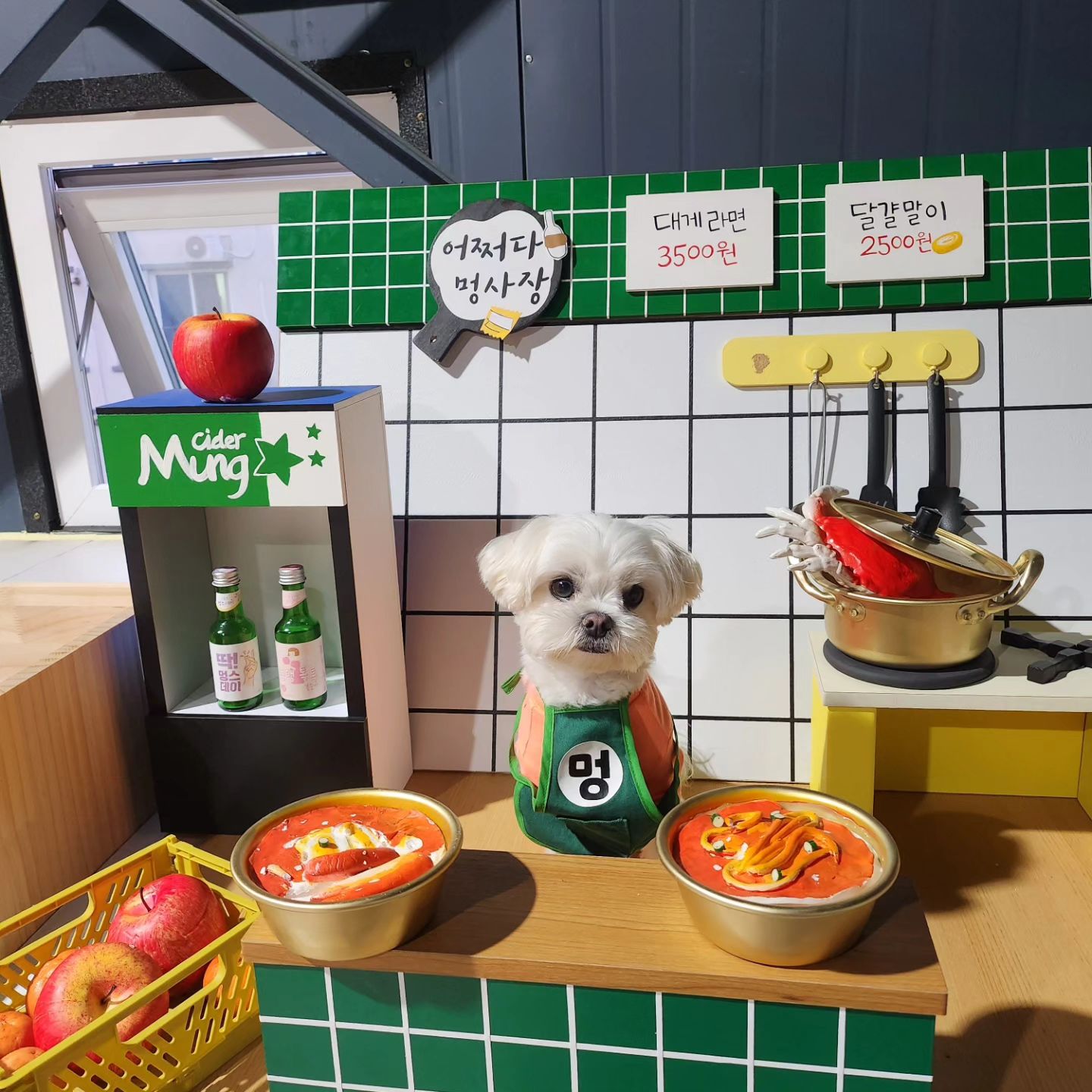 도리포차에 논너오세유 💚
