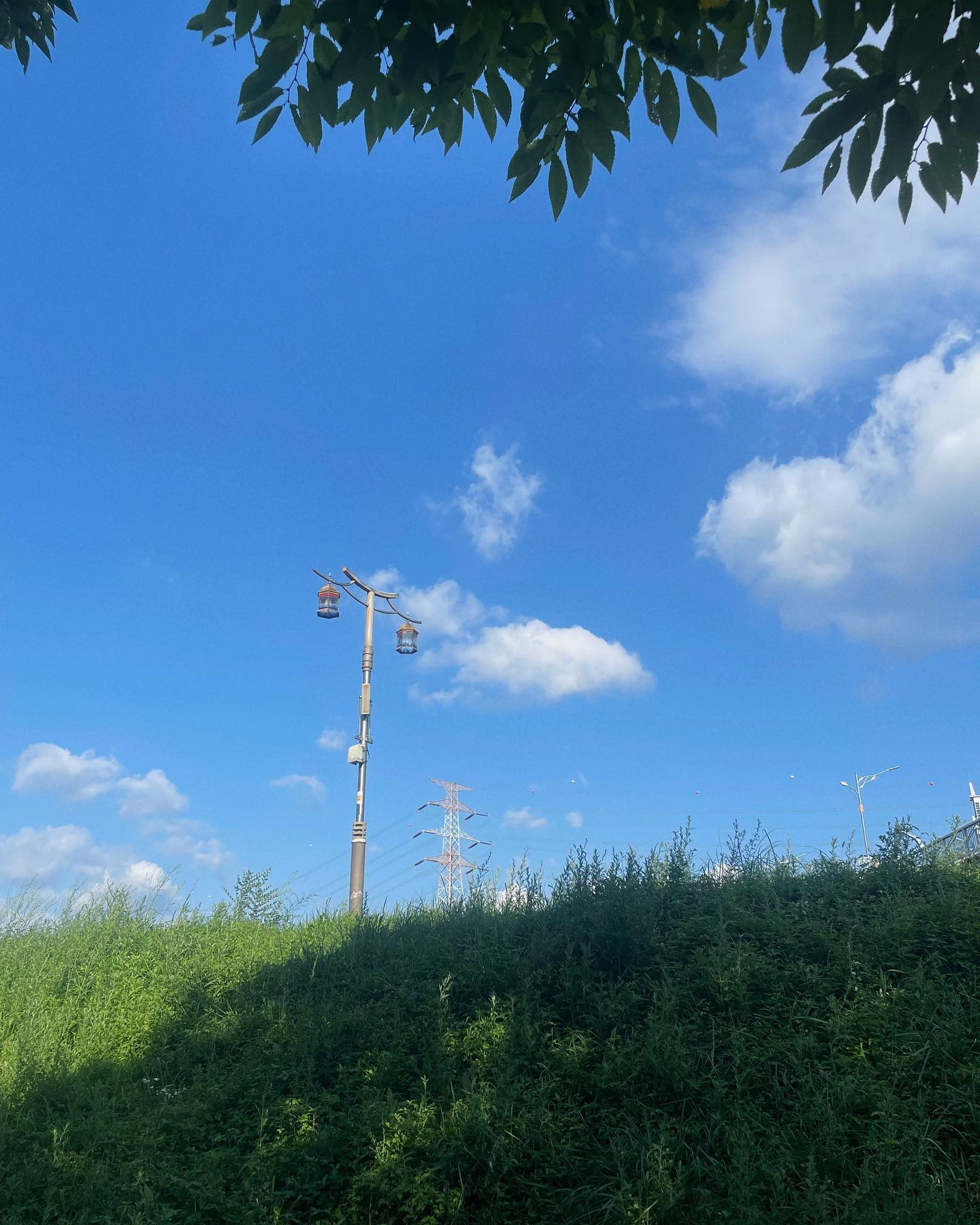 여름이었다 … 🌳