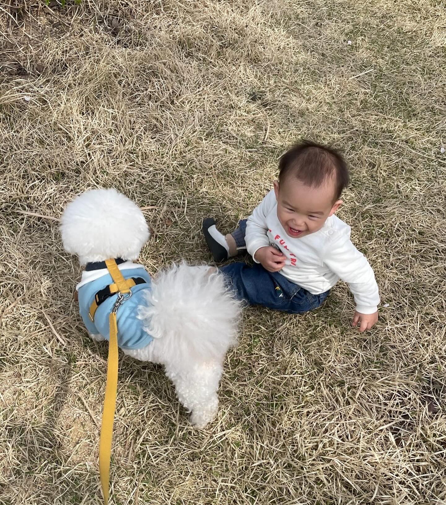 요즘 숑이랑 체격이 비슷해진 지호 🐶🐥👶🏻
나 어렸을때,, 키우던 풍산개한테 내가 산책 당했었는데
지호야 너도 머지 않았다 ^^ 
마지막 영상은 이제 점점 우리랑 같은 밥(?) 먹는 지호