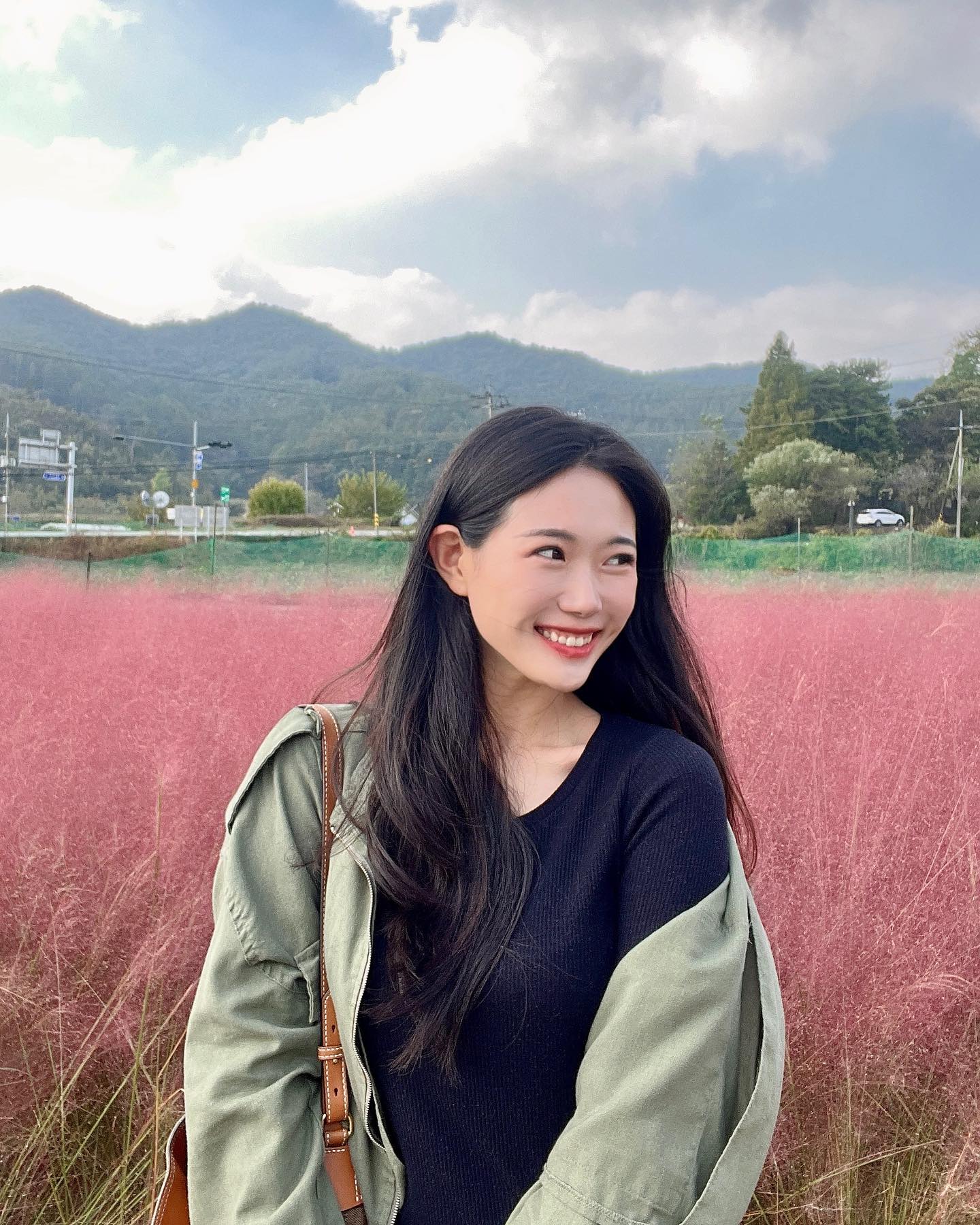 가을 가기전에 핑크뮬리 후다닥