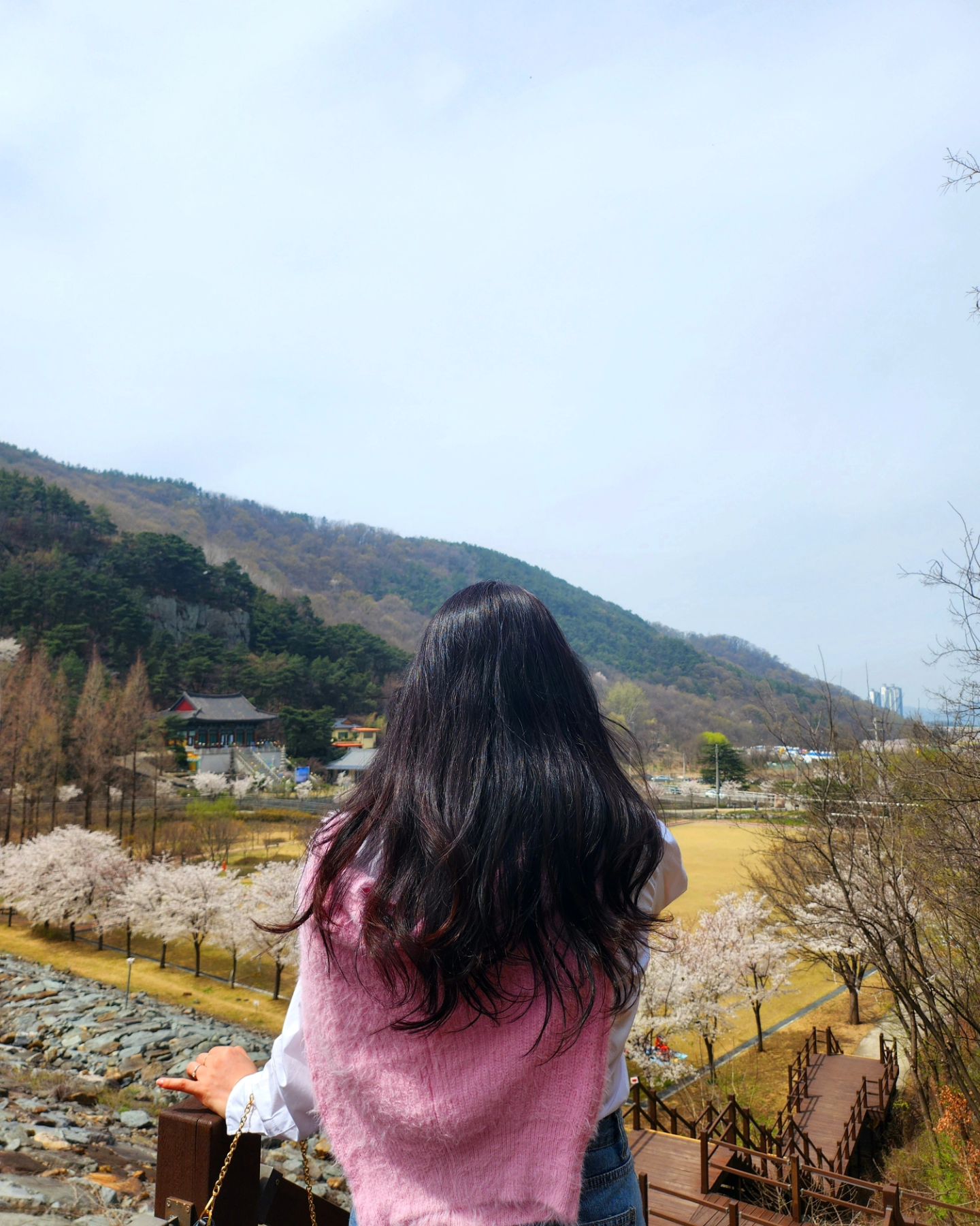 닭불고기 먹으러 왔다가
겸사겸사 꽃구경_🌸

#송해공원
#옥연지
#꽃보다밥 🍚