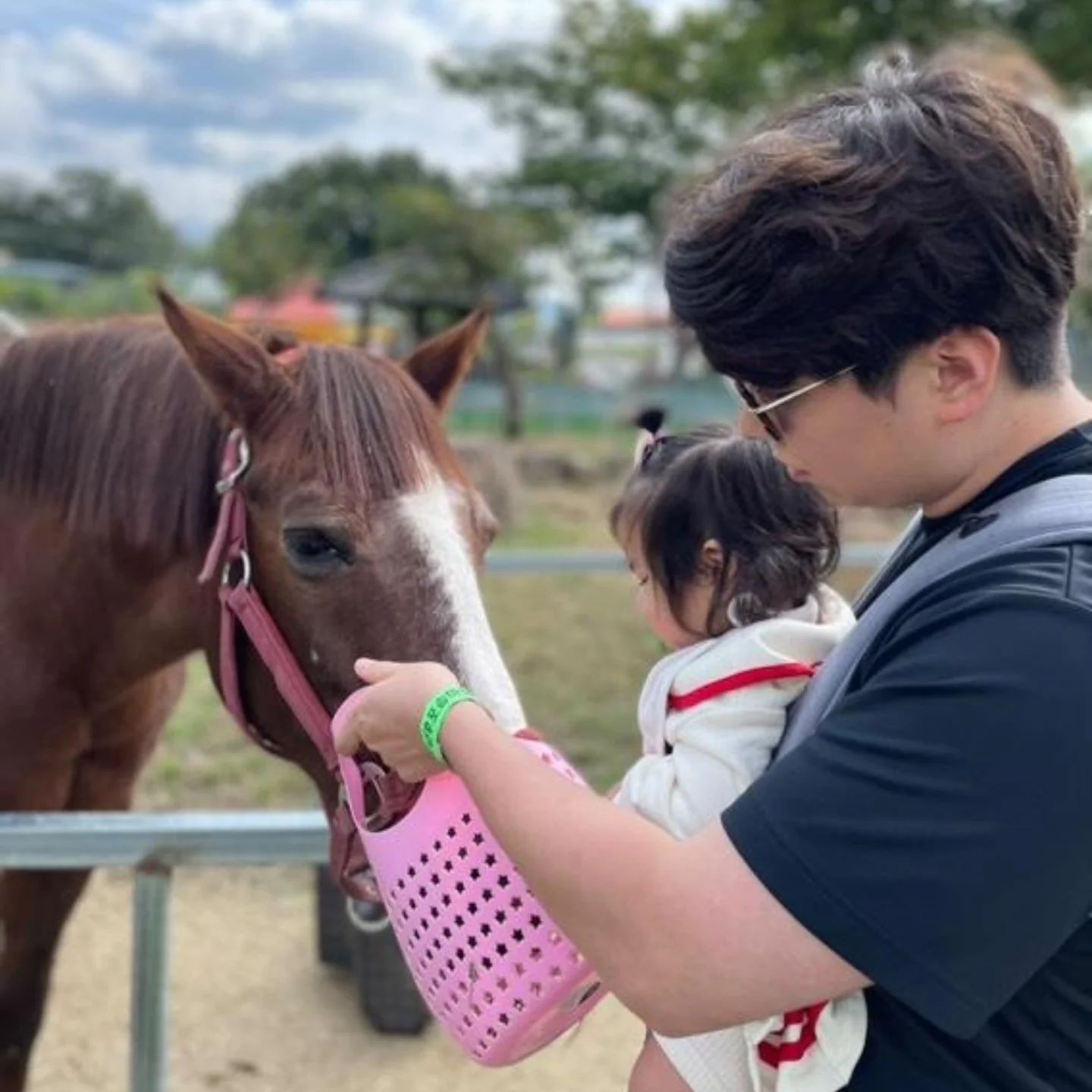 날 좋은날 우리가족👨‍👩‍👧
다윤이랑 동물들 보러왔어요💛
말🐎양🐑토끼🐰거위🦢사슴🦌 동물친구야들 안녕👋🏻

#창녕우포승마장 #승마체험 #창녕가볼만한곳