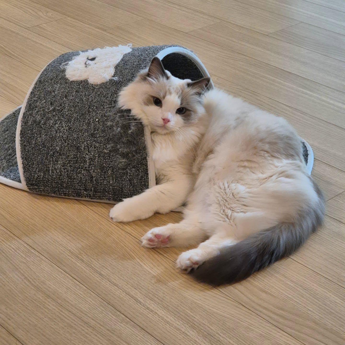reively__ 
기대서 쳐다보기 🤍