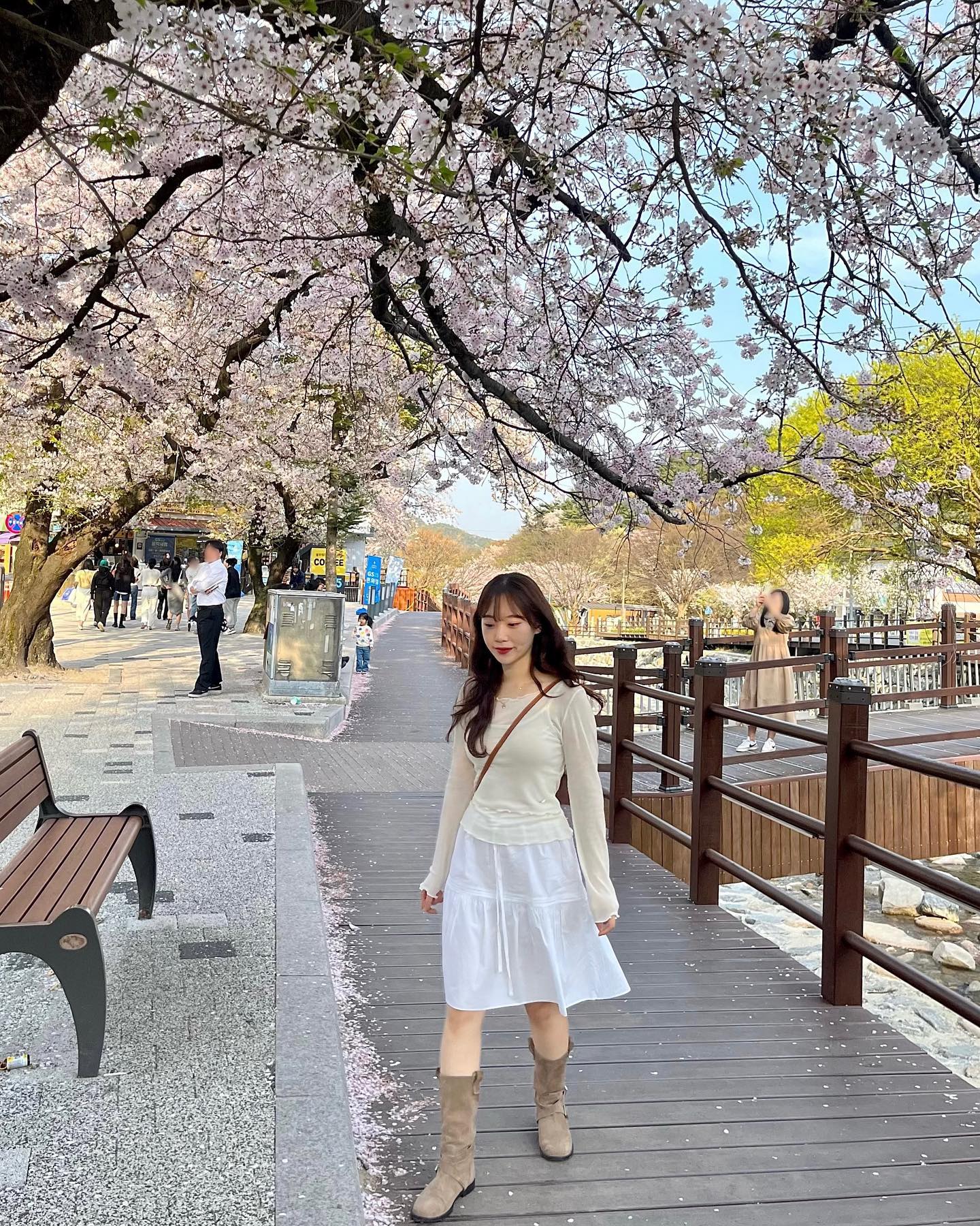 벚꽃 막막차